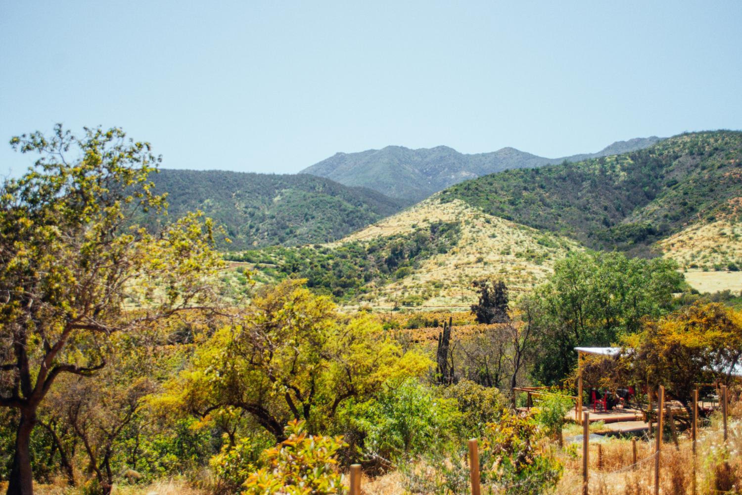 Puyacamp, domo de greda