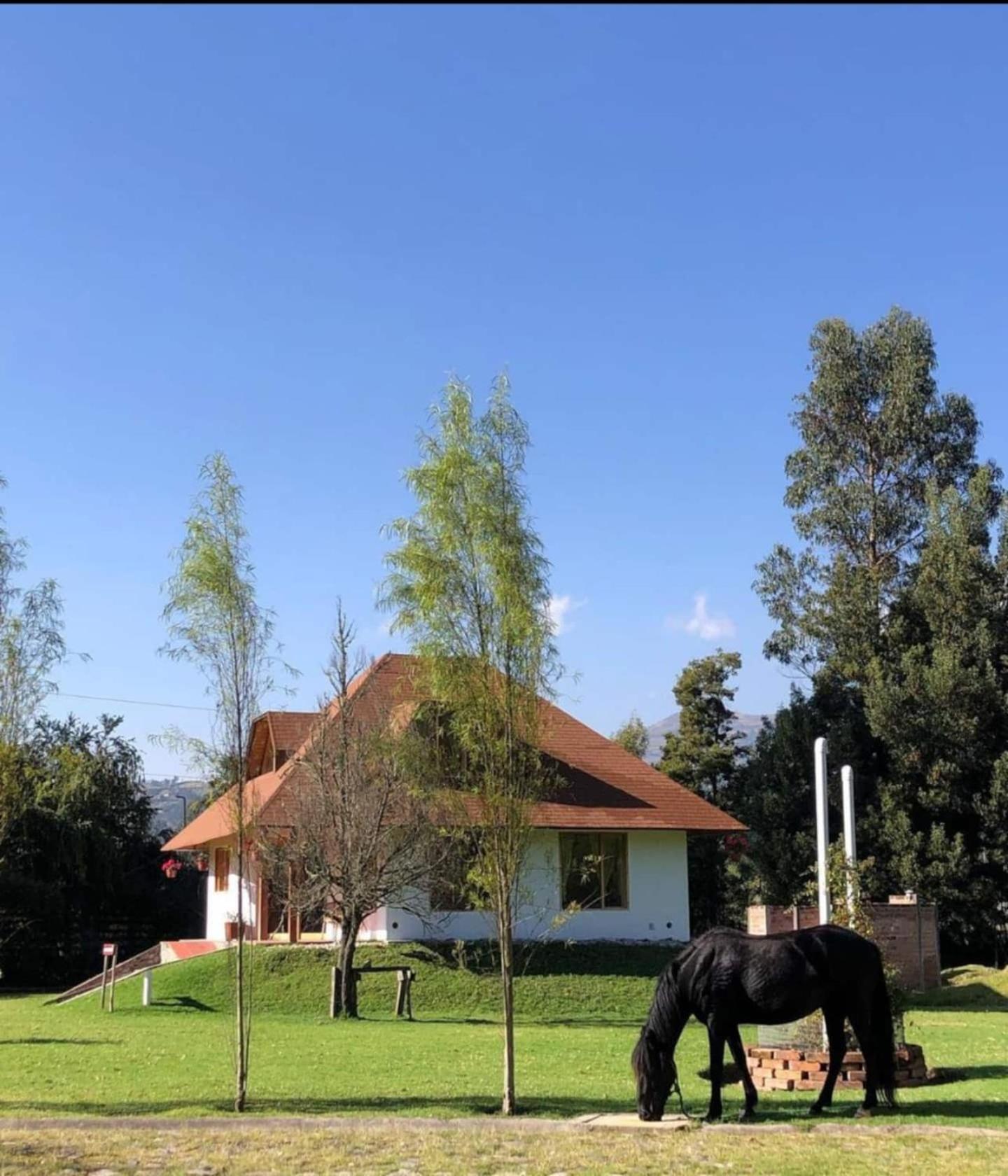 Casa Ecológica Al Pie Del Volcán