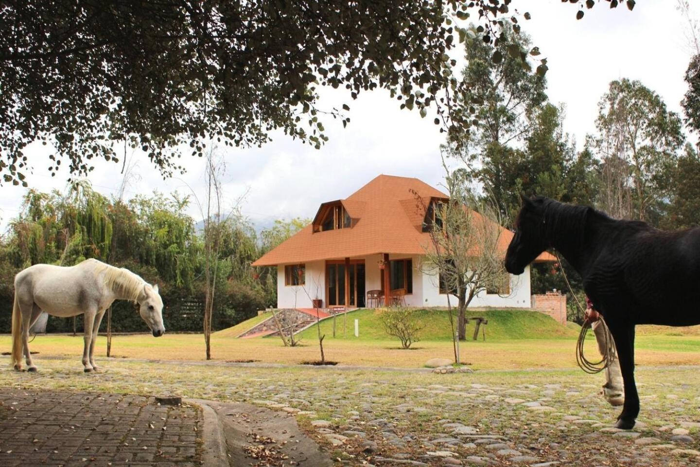Casa Ecológica Al Pie Del Volcán