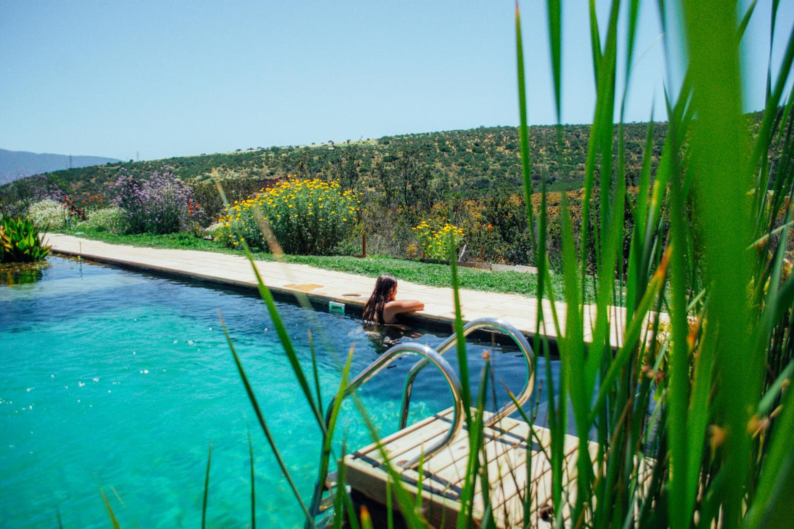 Puyacamp, domo de greda