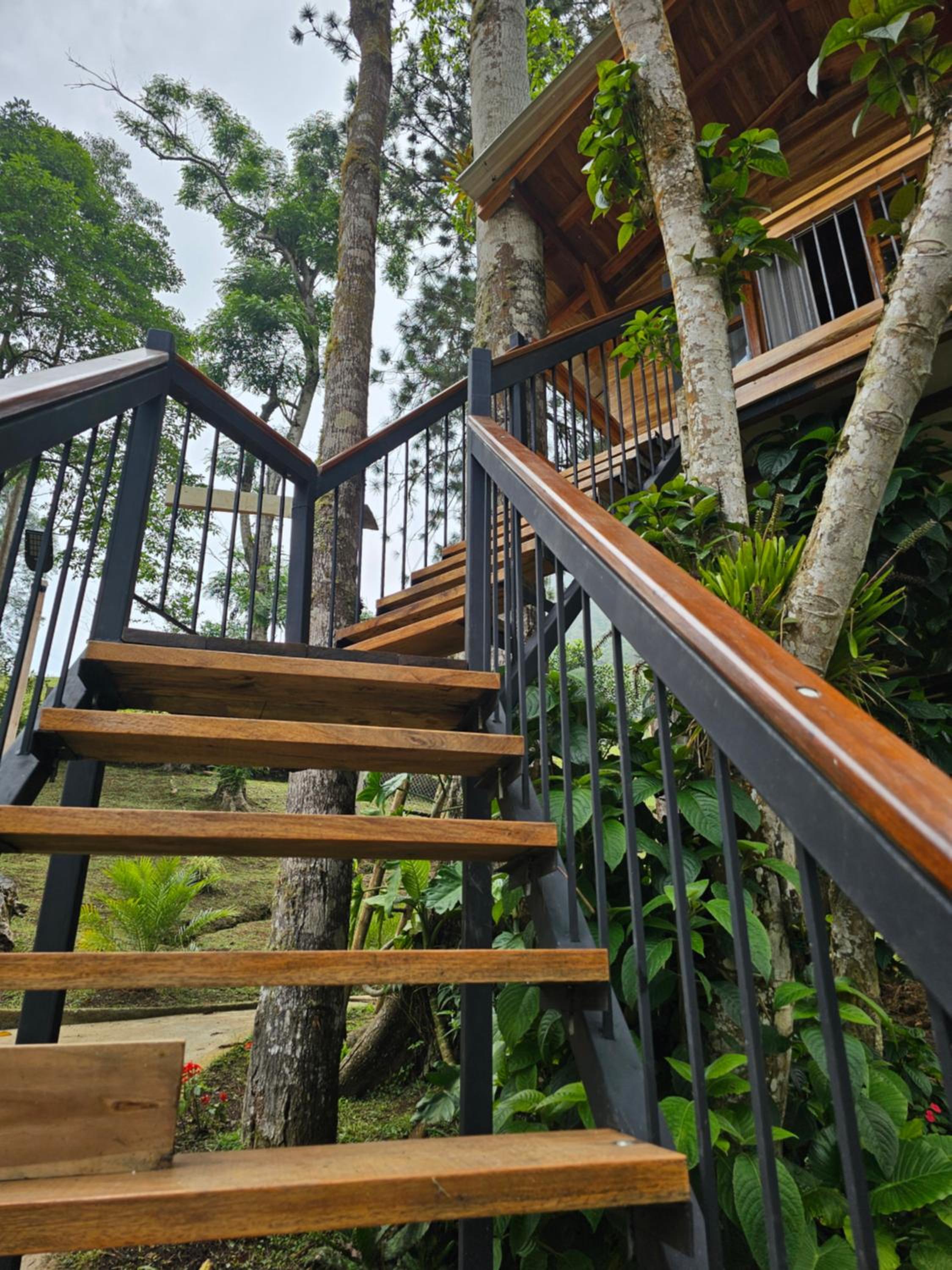 La Mercedes Cattaleya Hostal By Mh