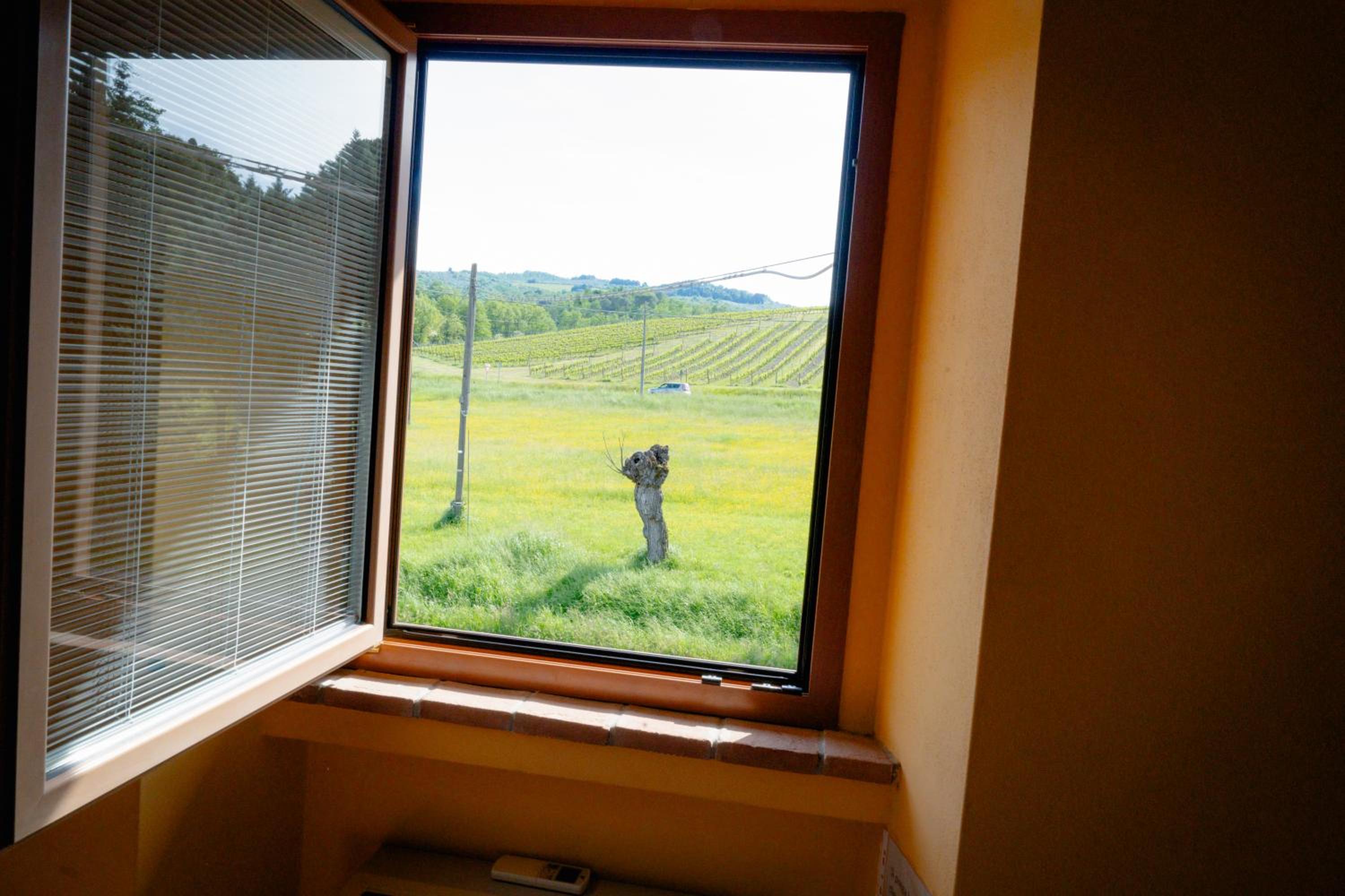 L'Antico Gabbiano B&B