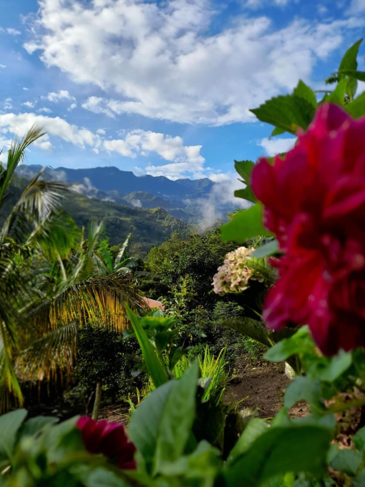 Eco Aldea Topacio