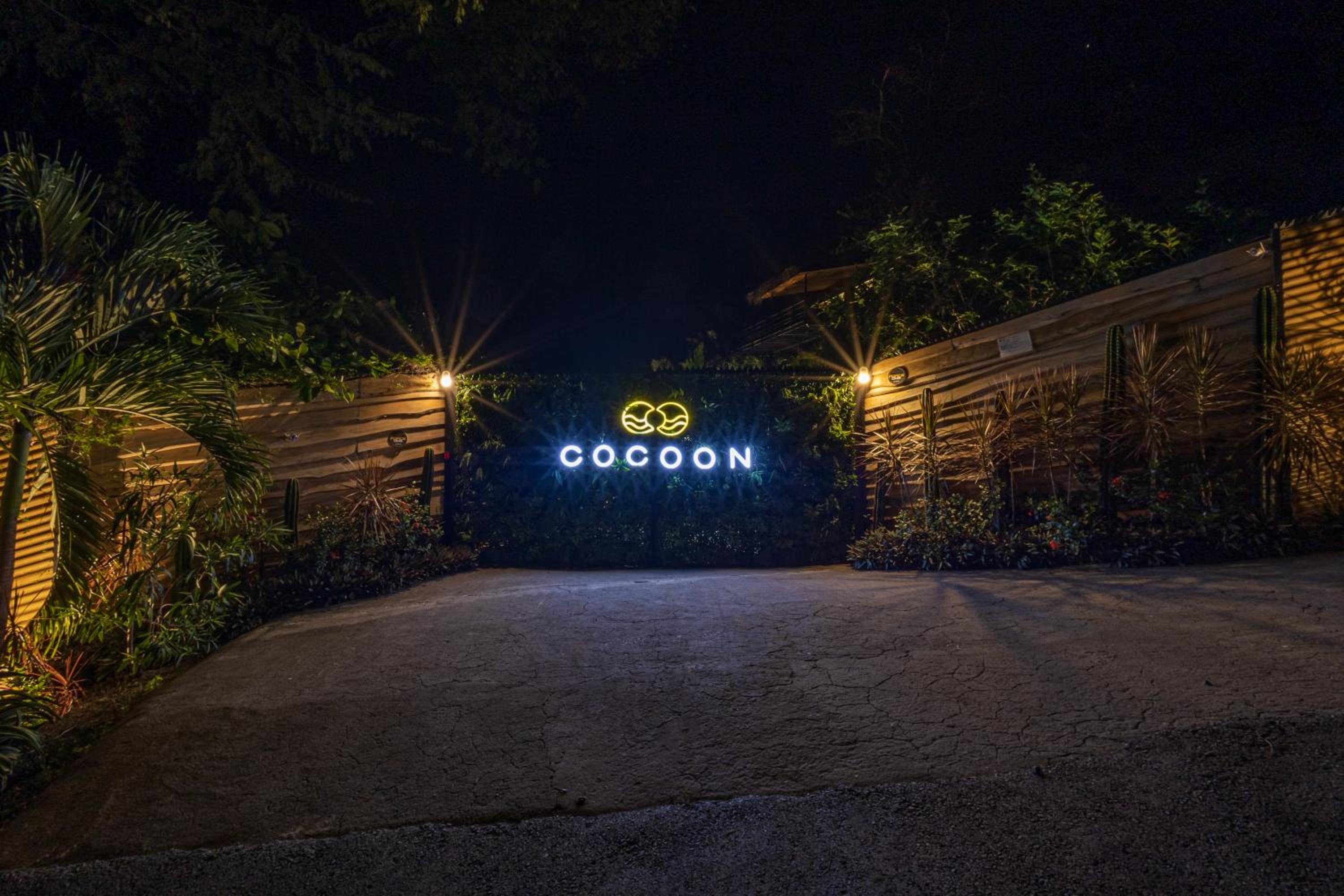 C o c o o n Tamarindo
