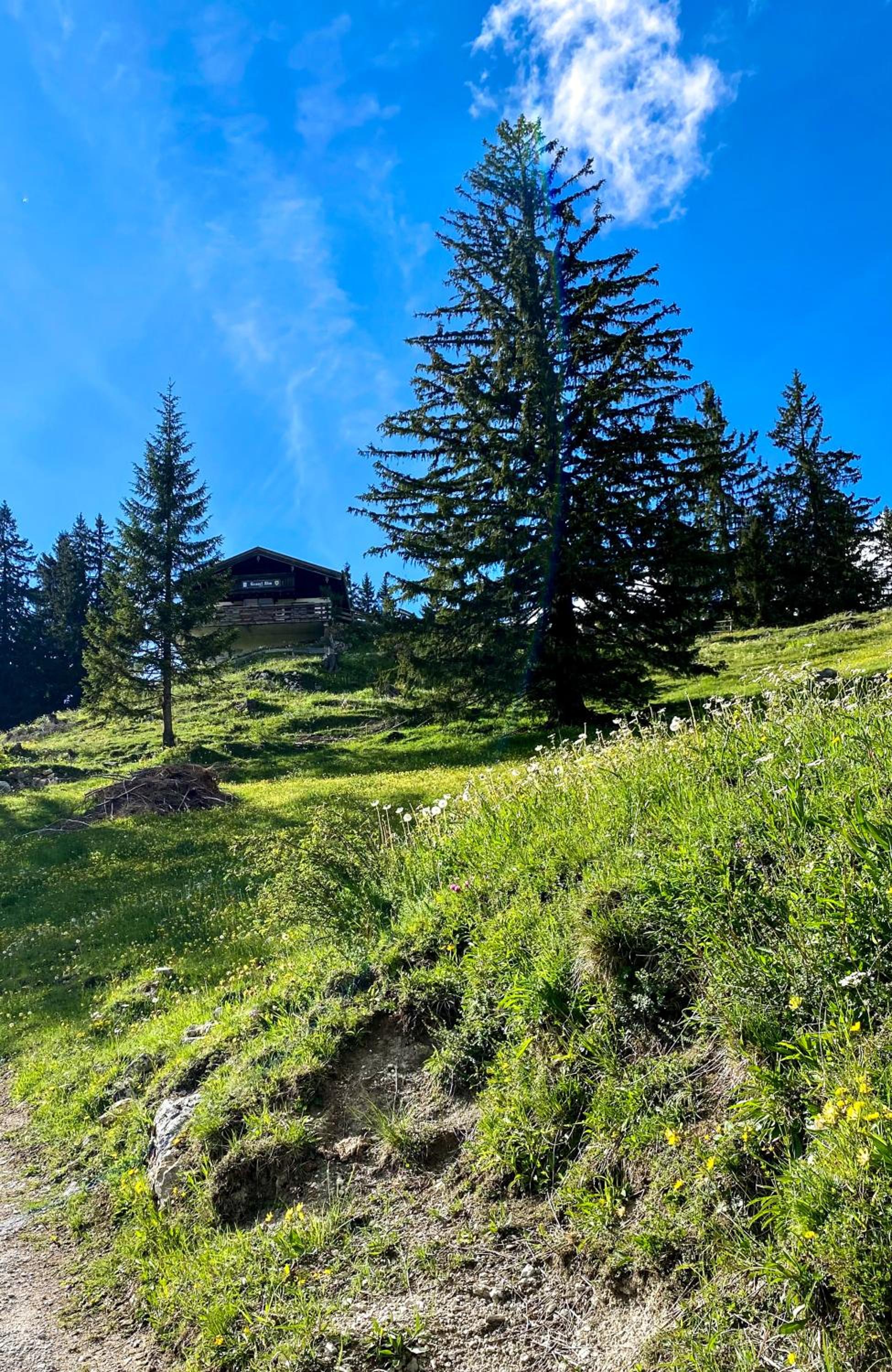 Belisima Apartments I Ferienwohnungen Fischbachau - Schliersee I Historisch & Cozy mit Bergblick I 2 Schlafzimmer