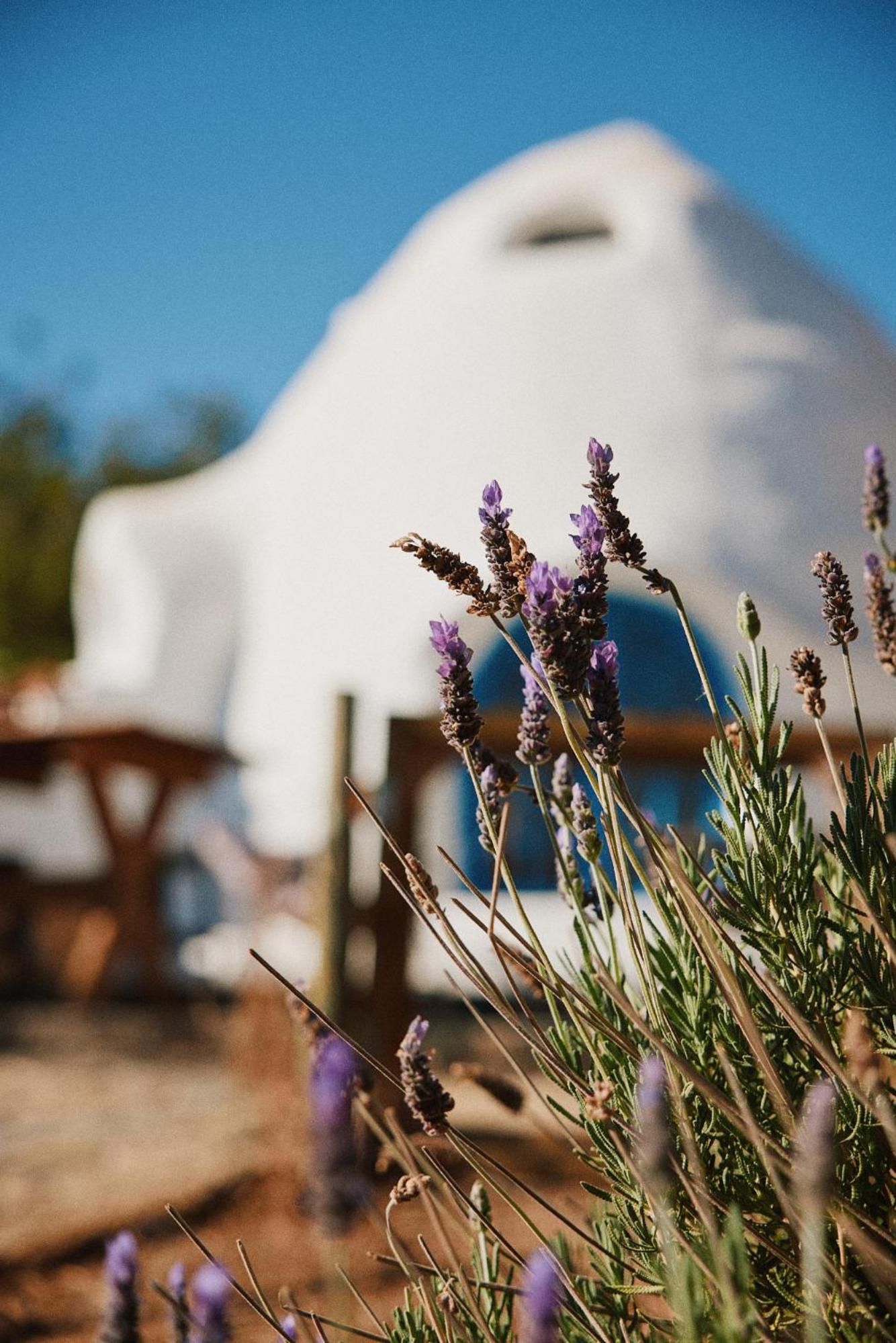 Puyacamp, domo de greda