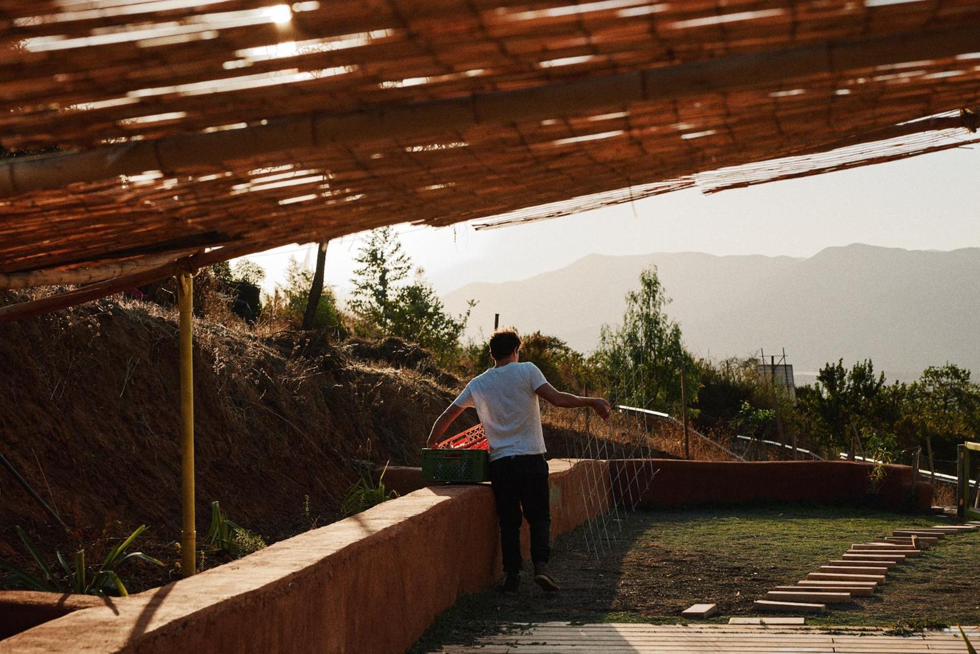 Puyacamp, domo de greda