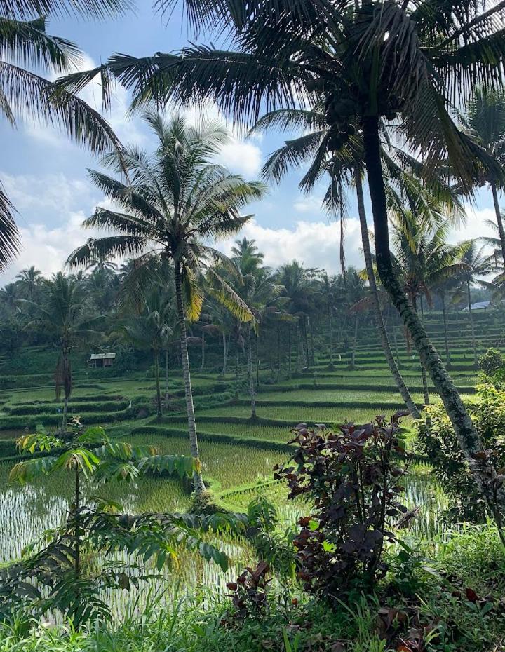 Alfarizi homestay