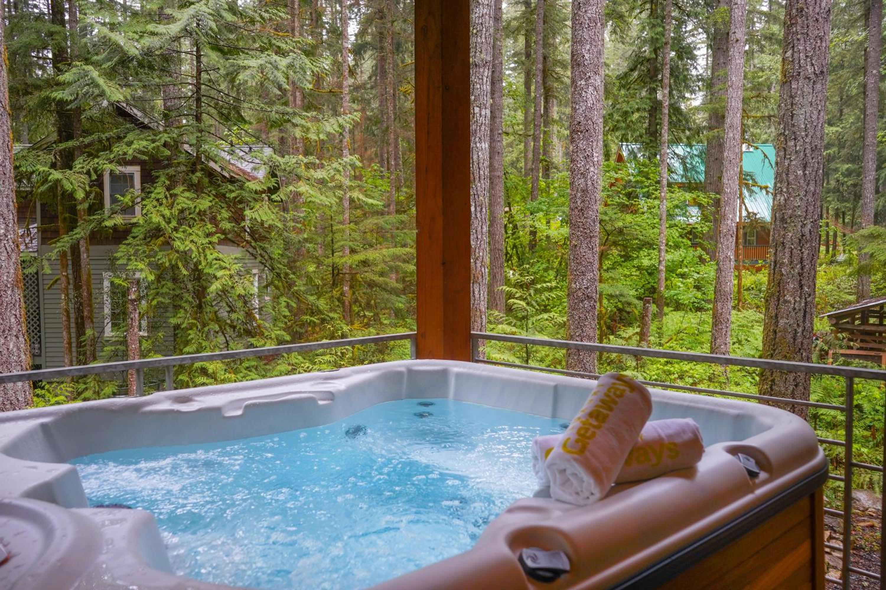 Elysian at Mount Baker