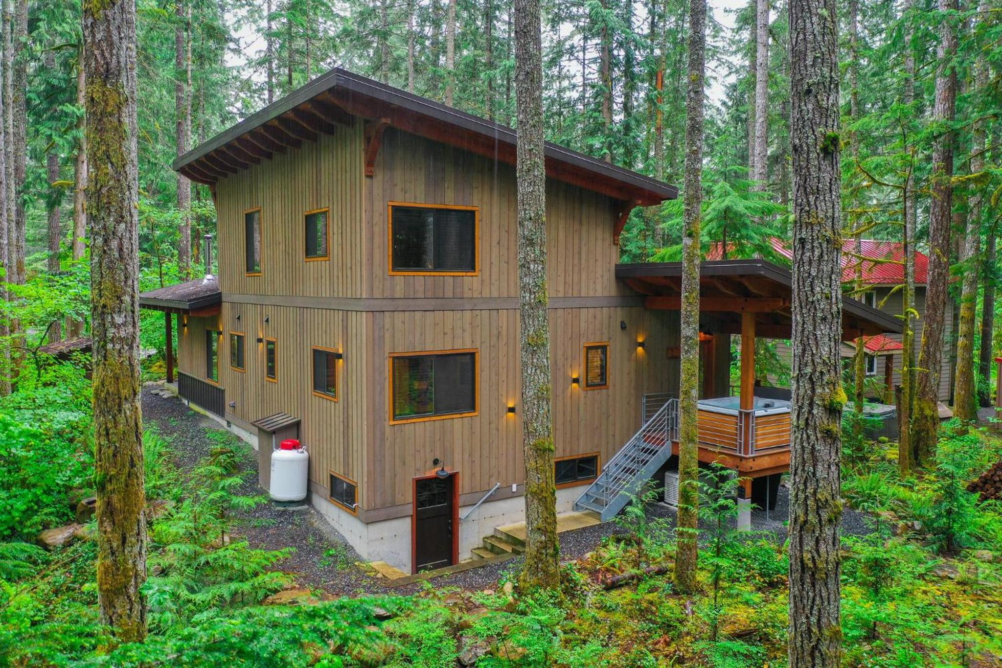 Elysian at Mount Baker