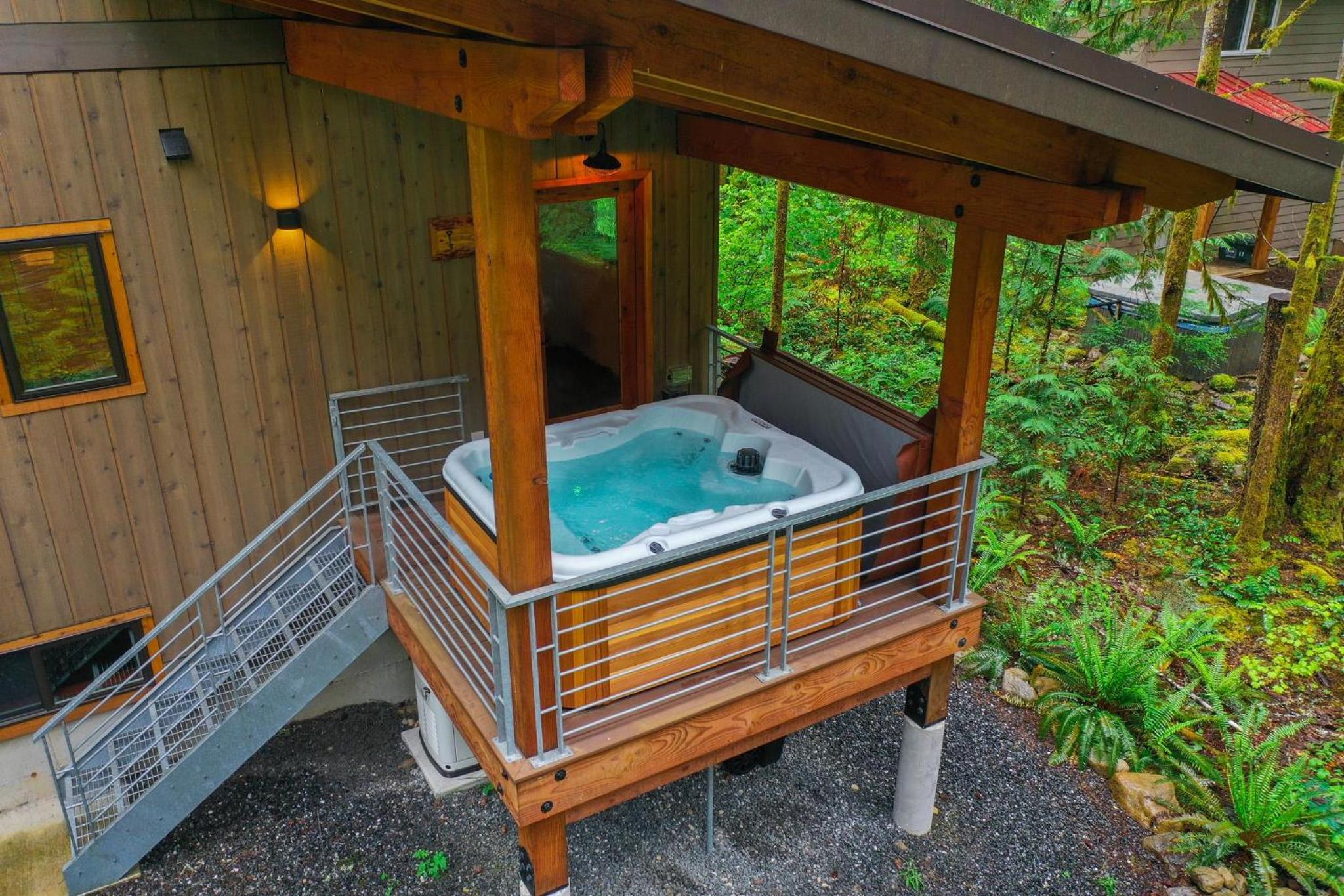 Elysian at Mount Baker