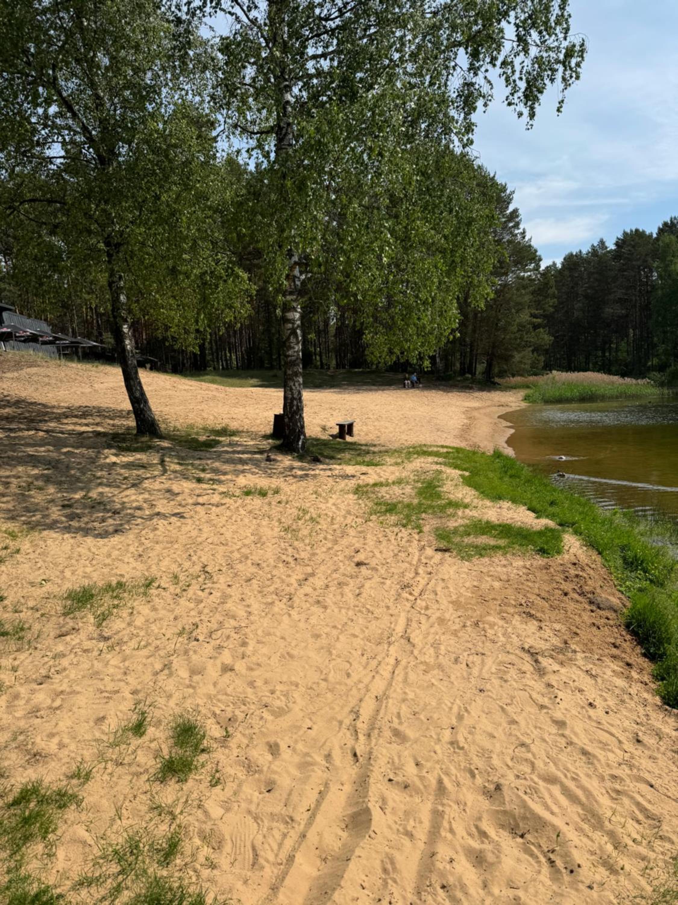 Forest Lake Studio Apartments