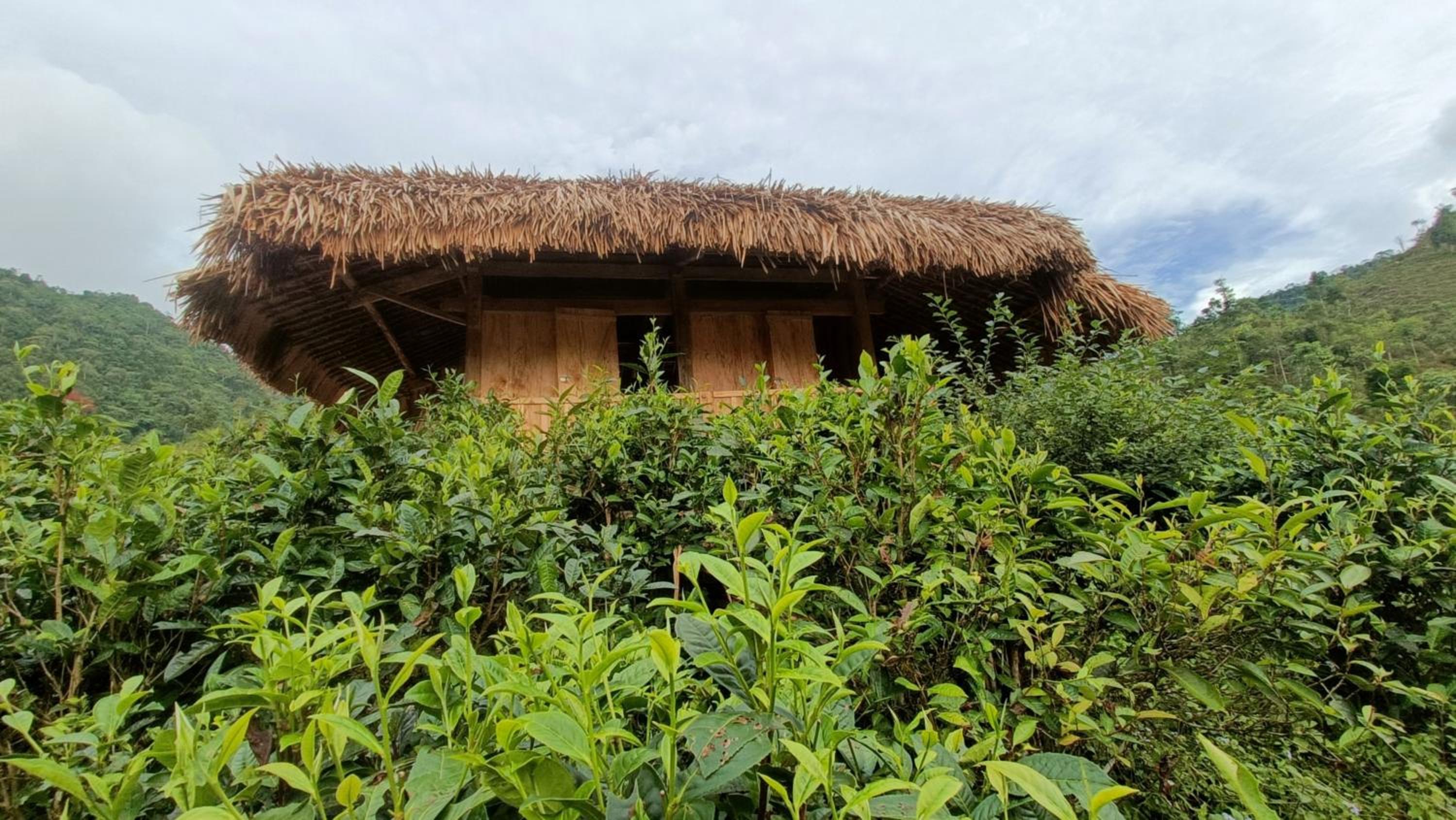 Photo 20