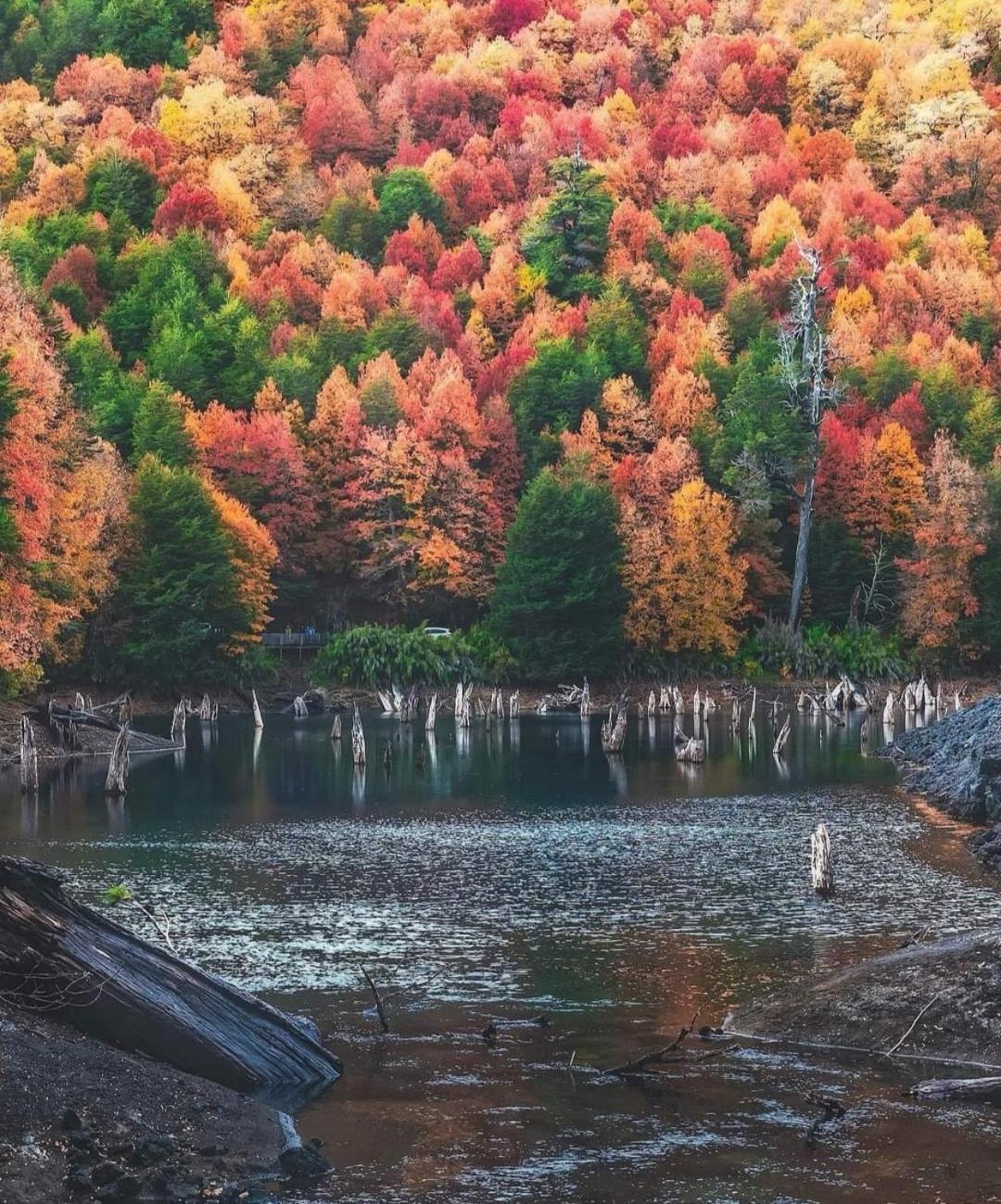 Brisas del llaima