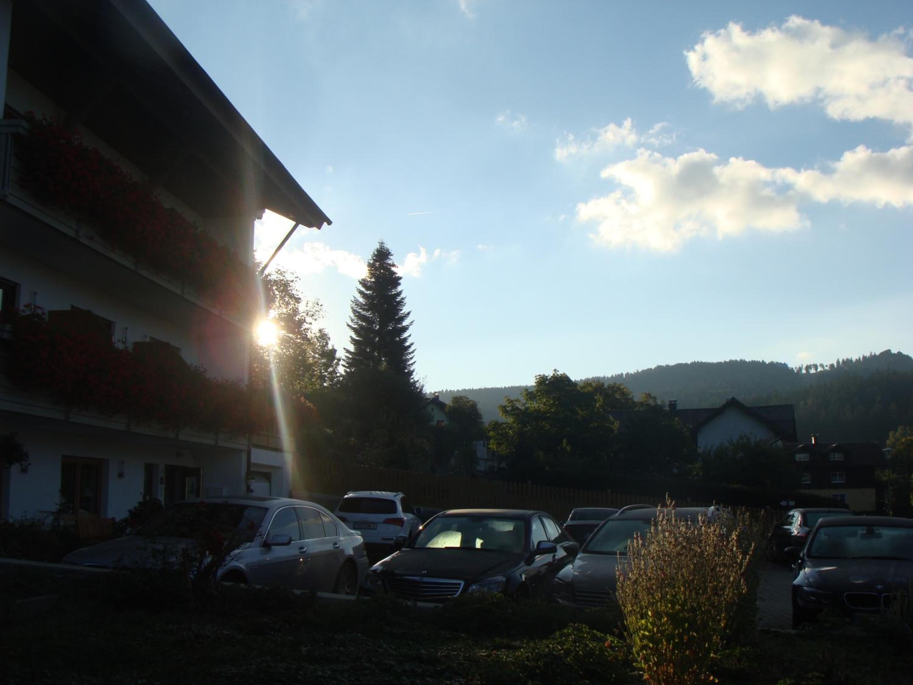 Drei Tannen