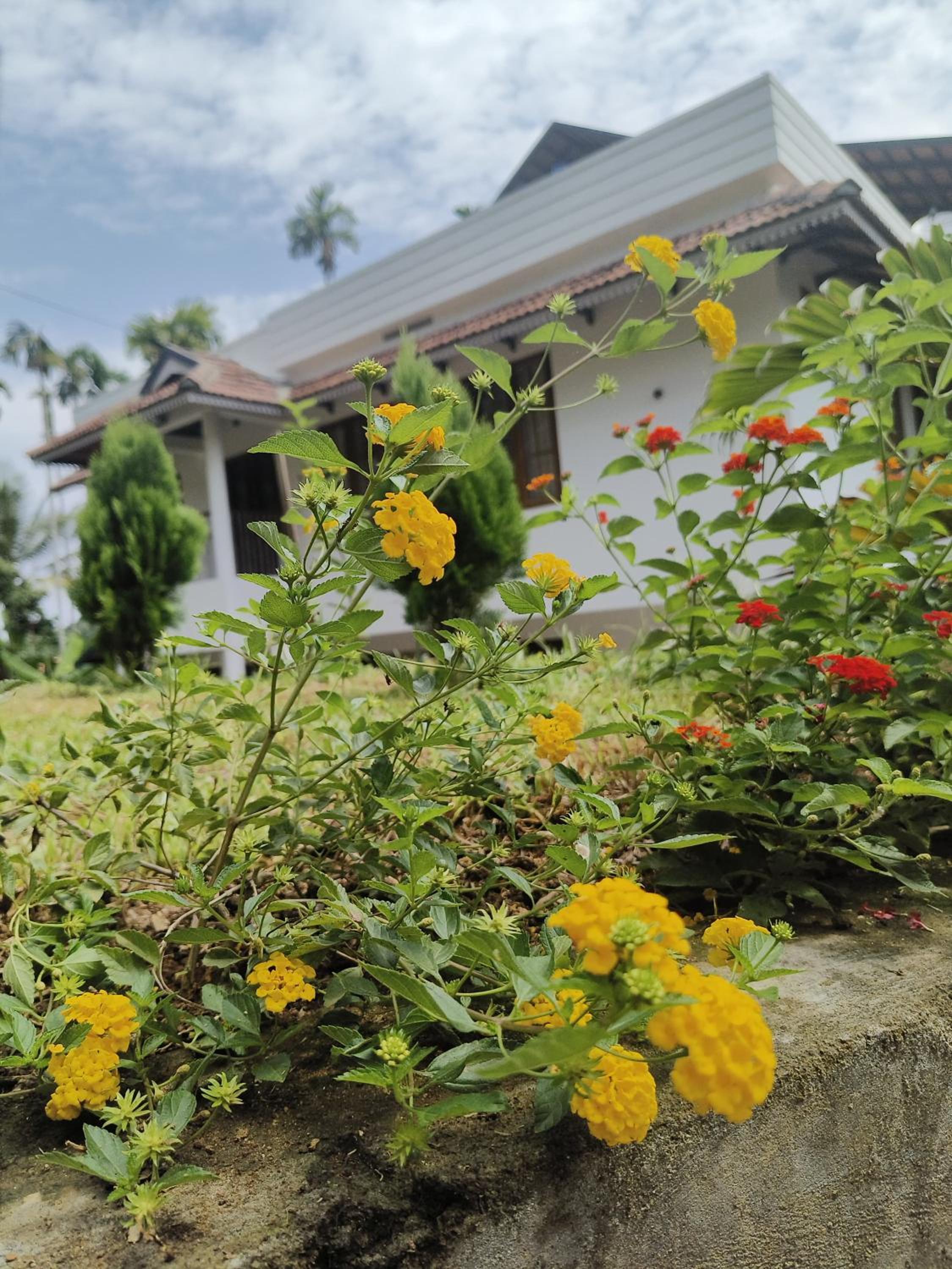 Ananda Holiday Home view 4