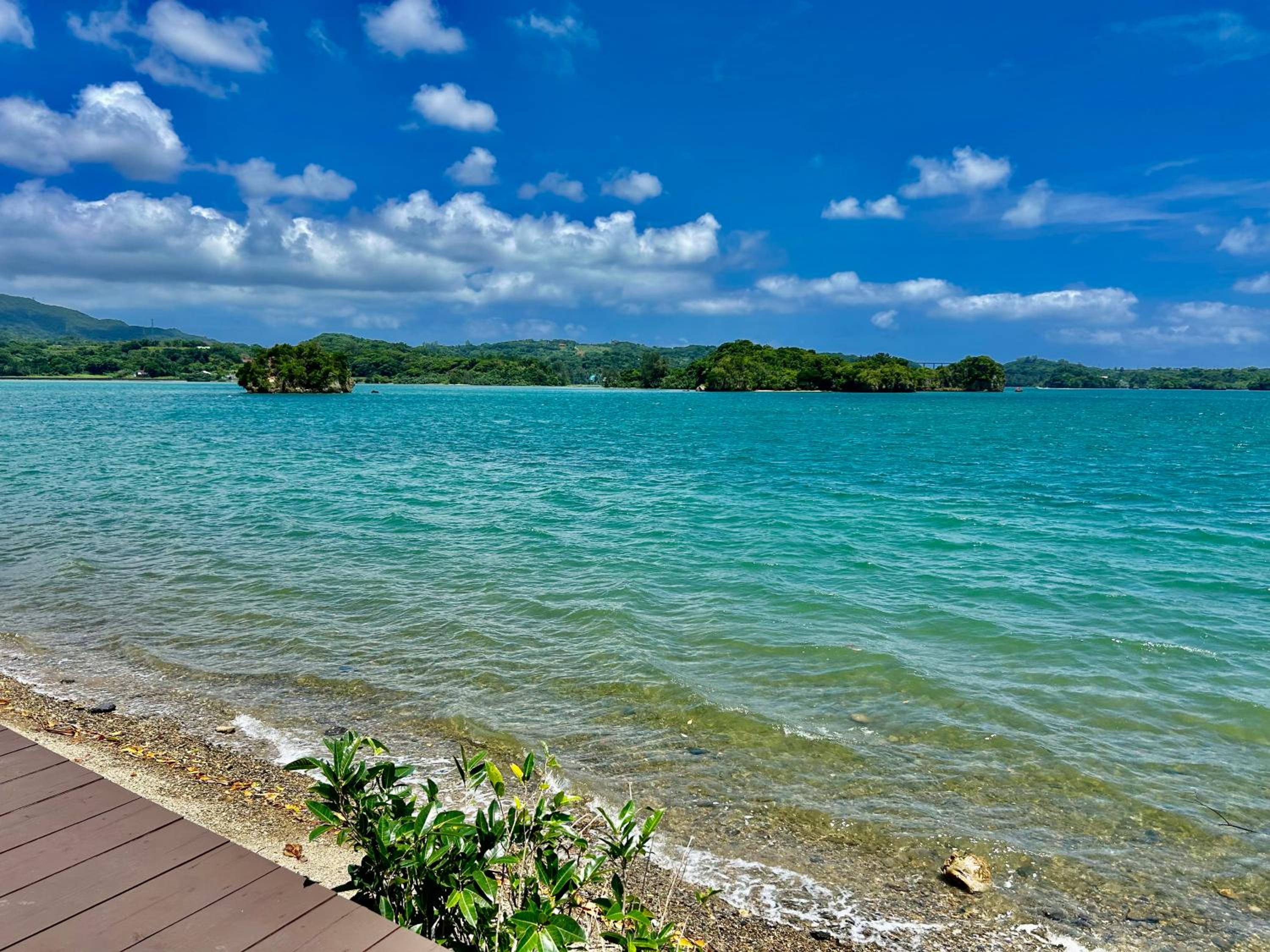 Nel Beach view 5