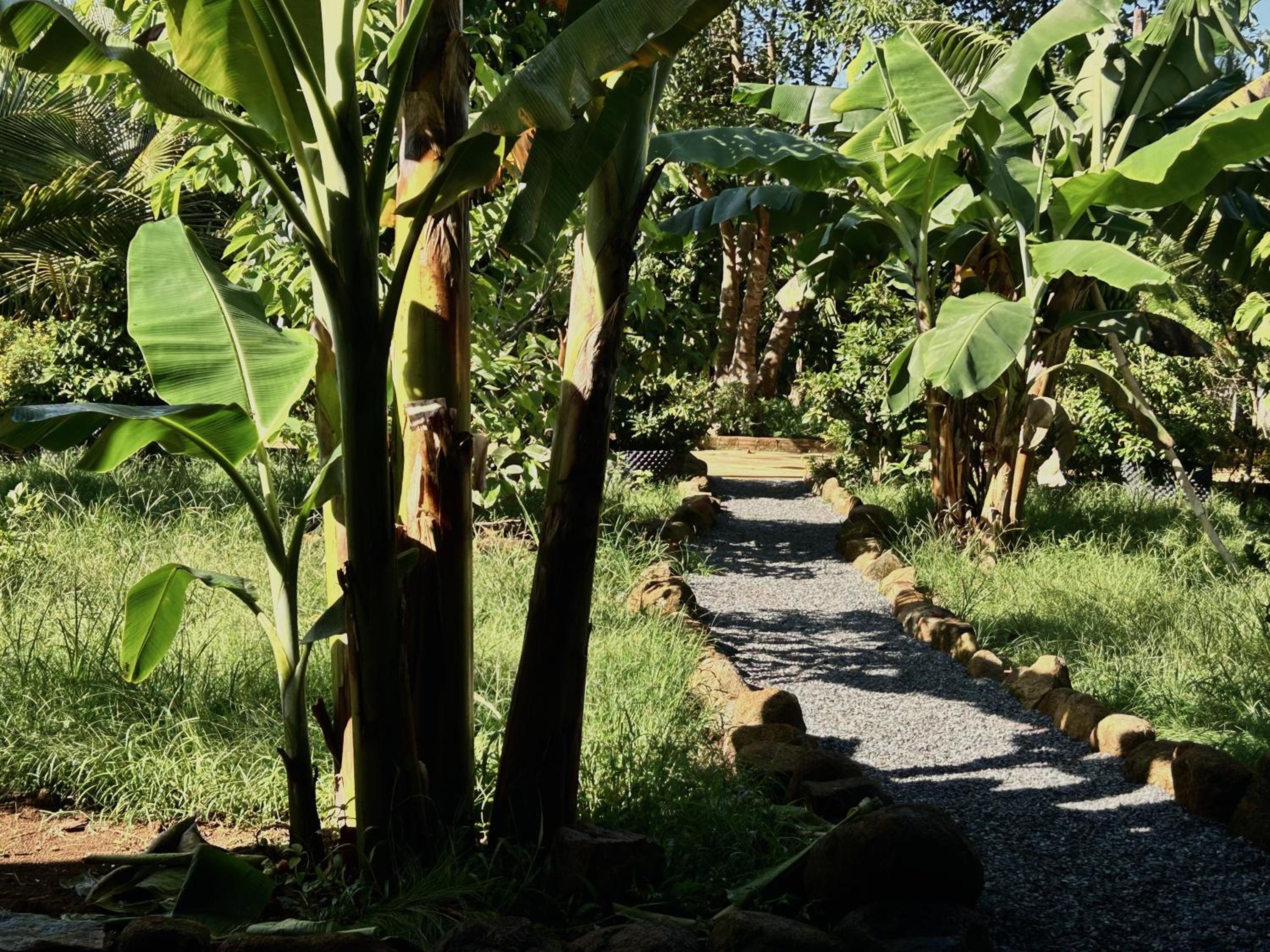 Photo 42