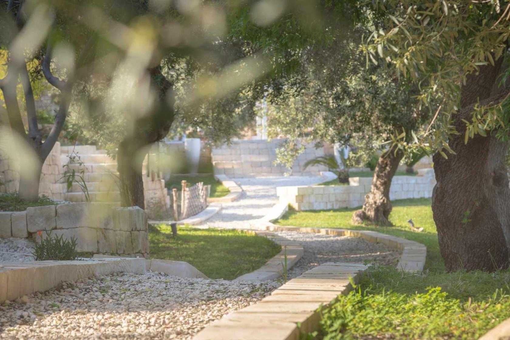 Tenuta Olive Alive