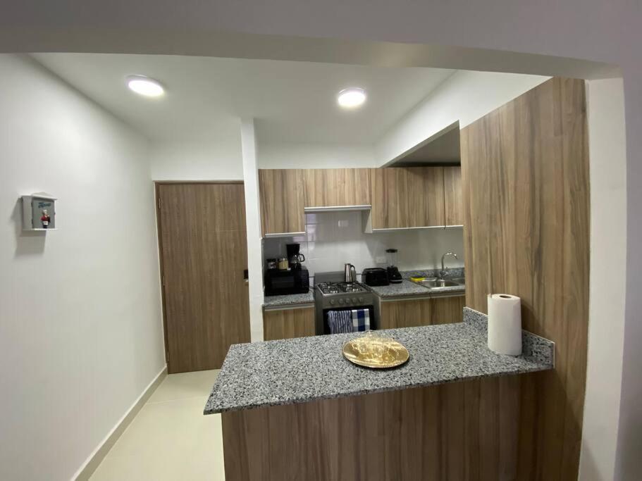Lujoso Apartamento 29 Punta Cana