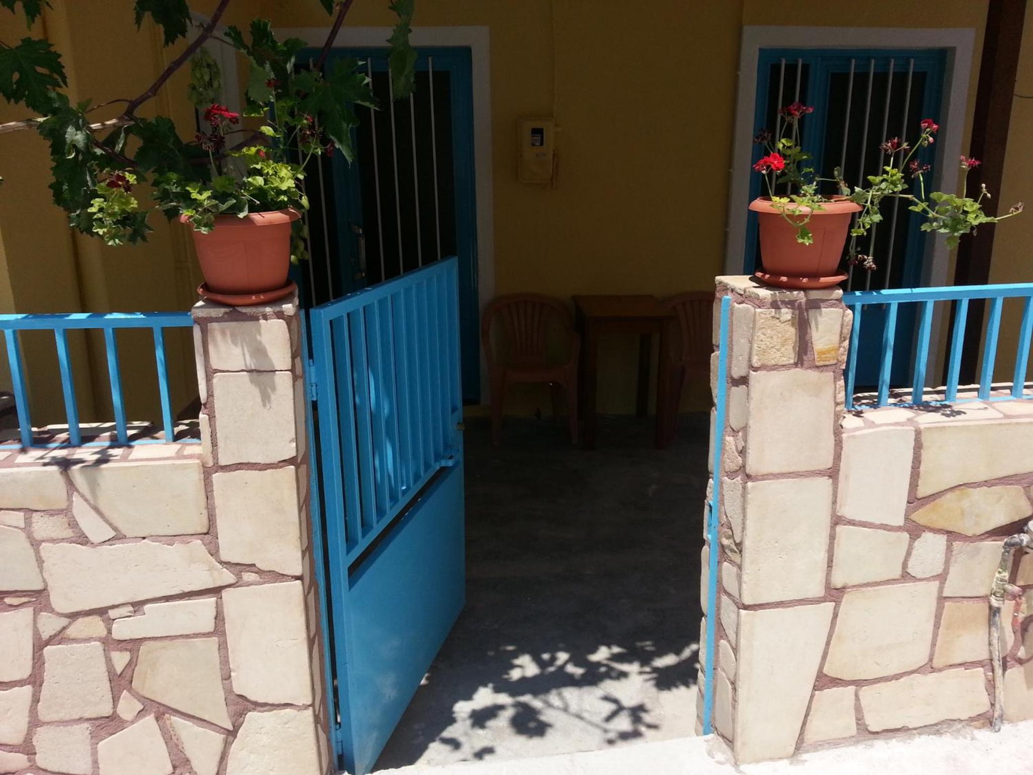 Photo 11