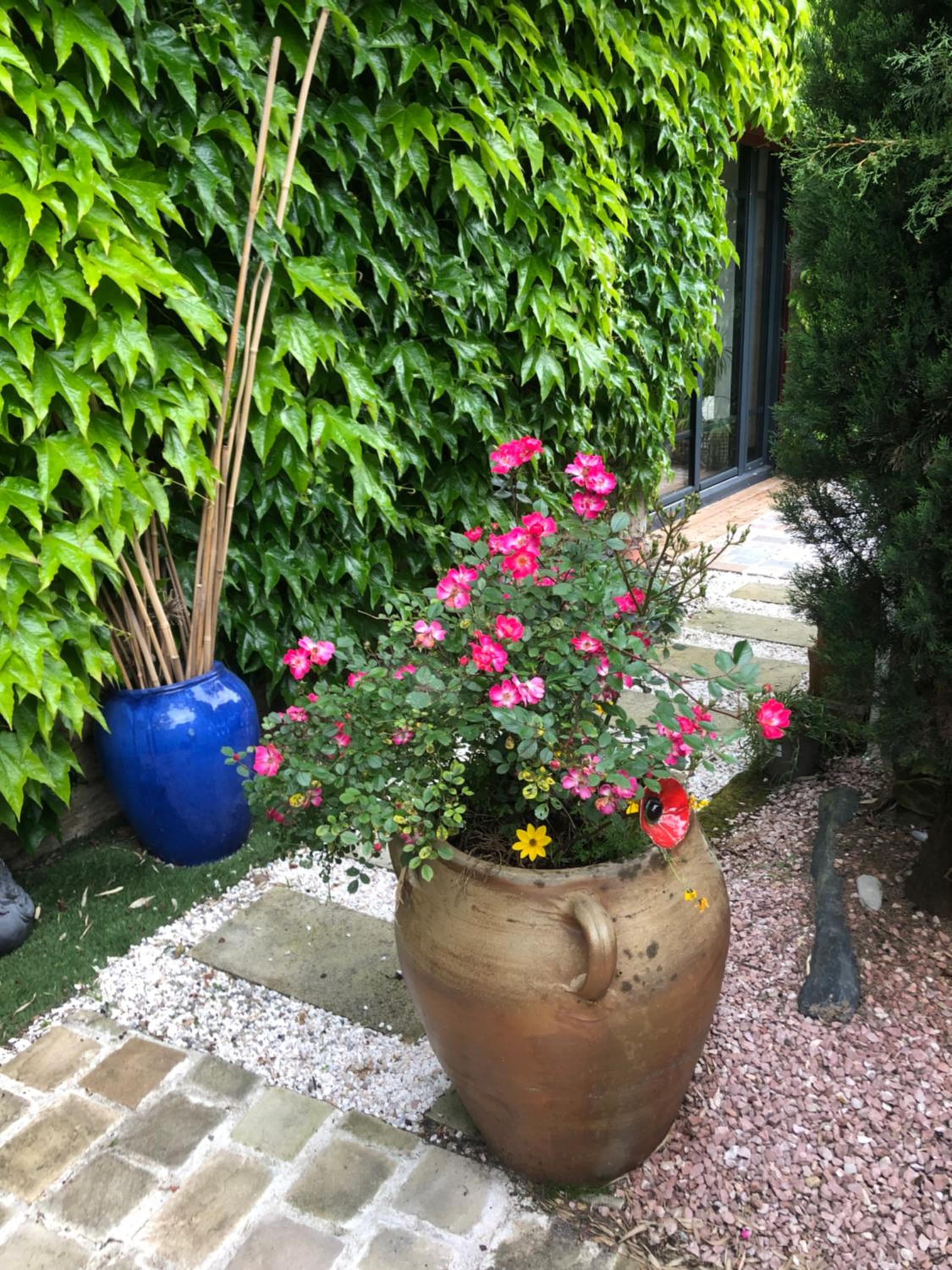 Le Cottage, photo 9