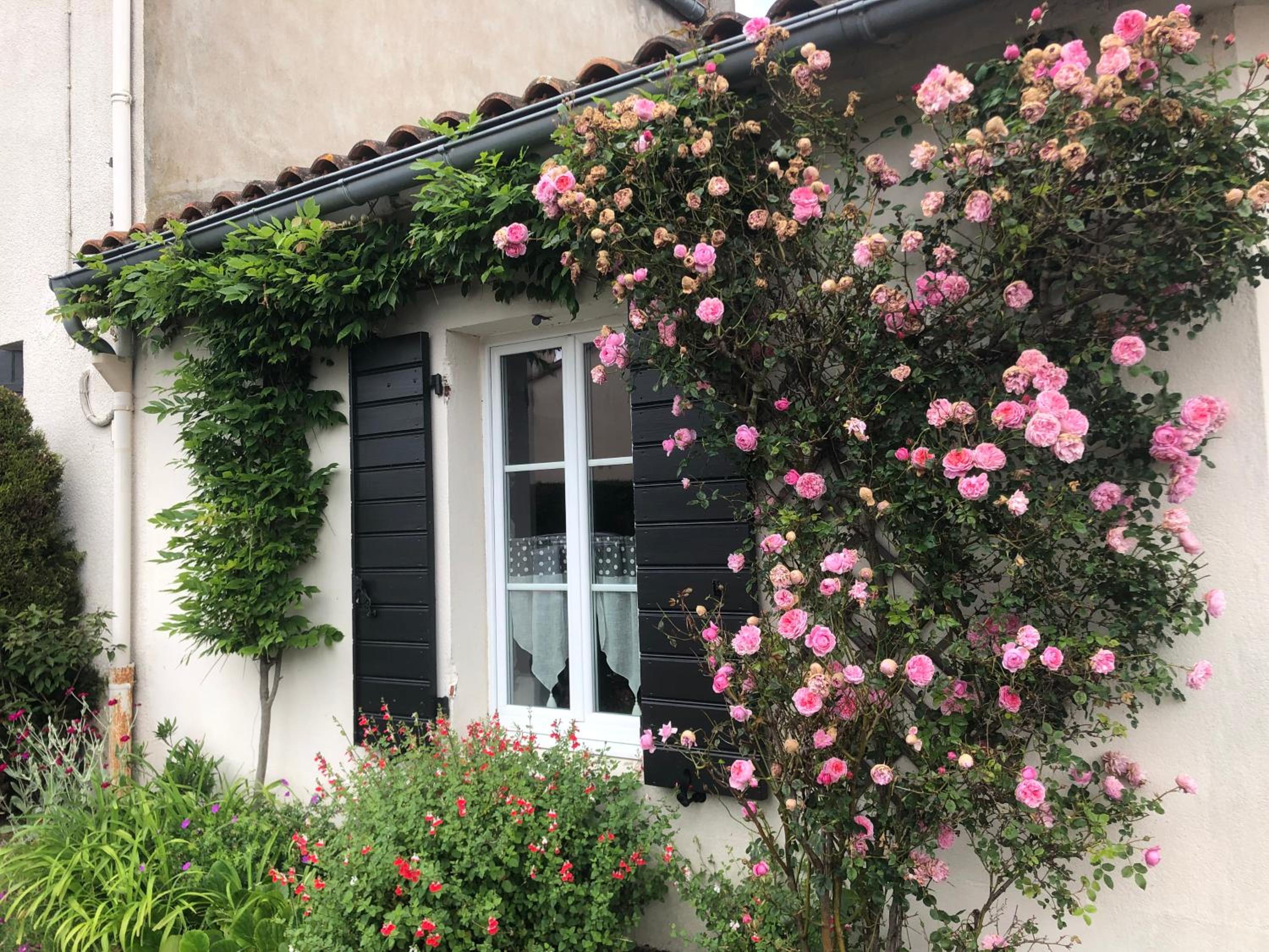 La Mulonniere, photo 33