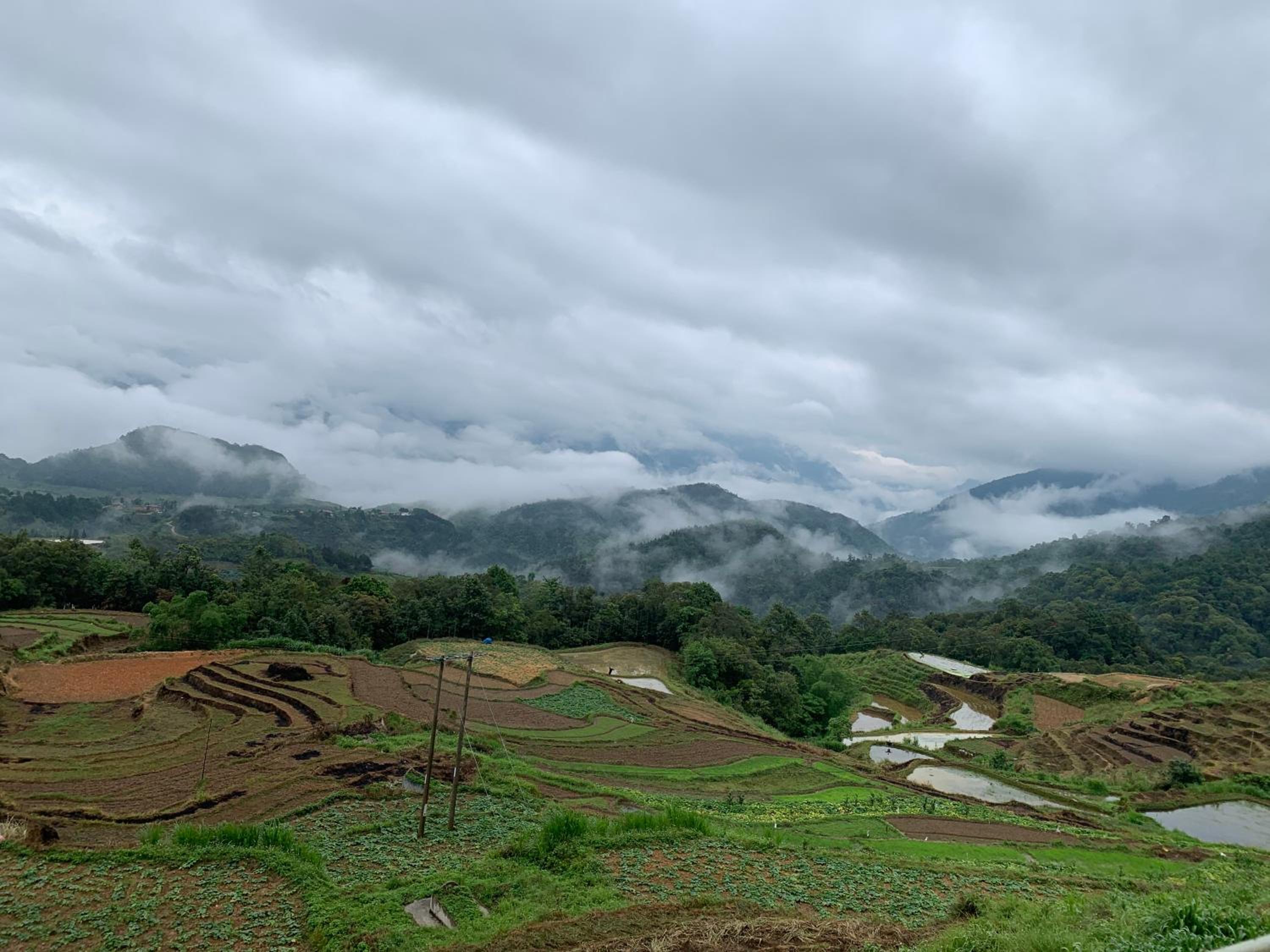 Homestay Trúc Sơn view 4