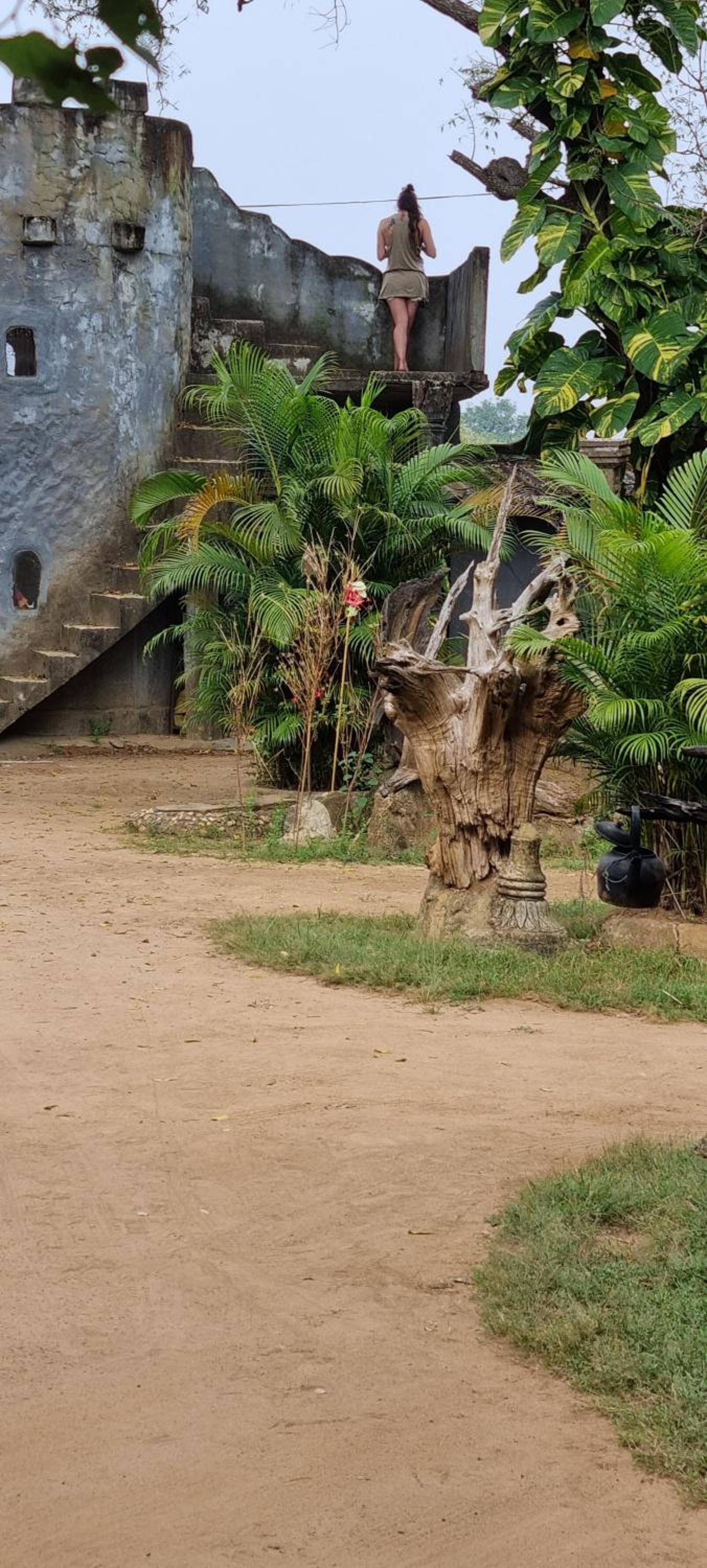 Humbhaha jungle yala nature eco resort view 4
