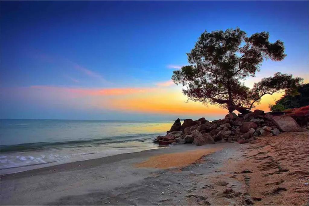 5 Stars slightly Seaview Suite By The Sea 6pax photo 4