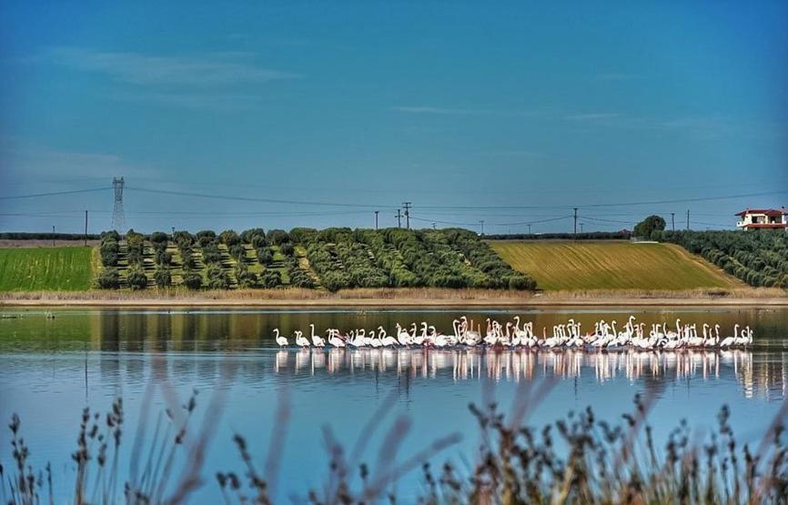 Mama Natura by RentalsPro Services - Agios Mamas view 4
