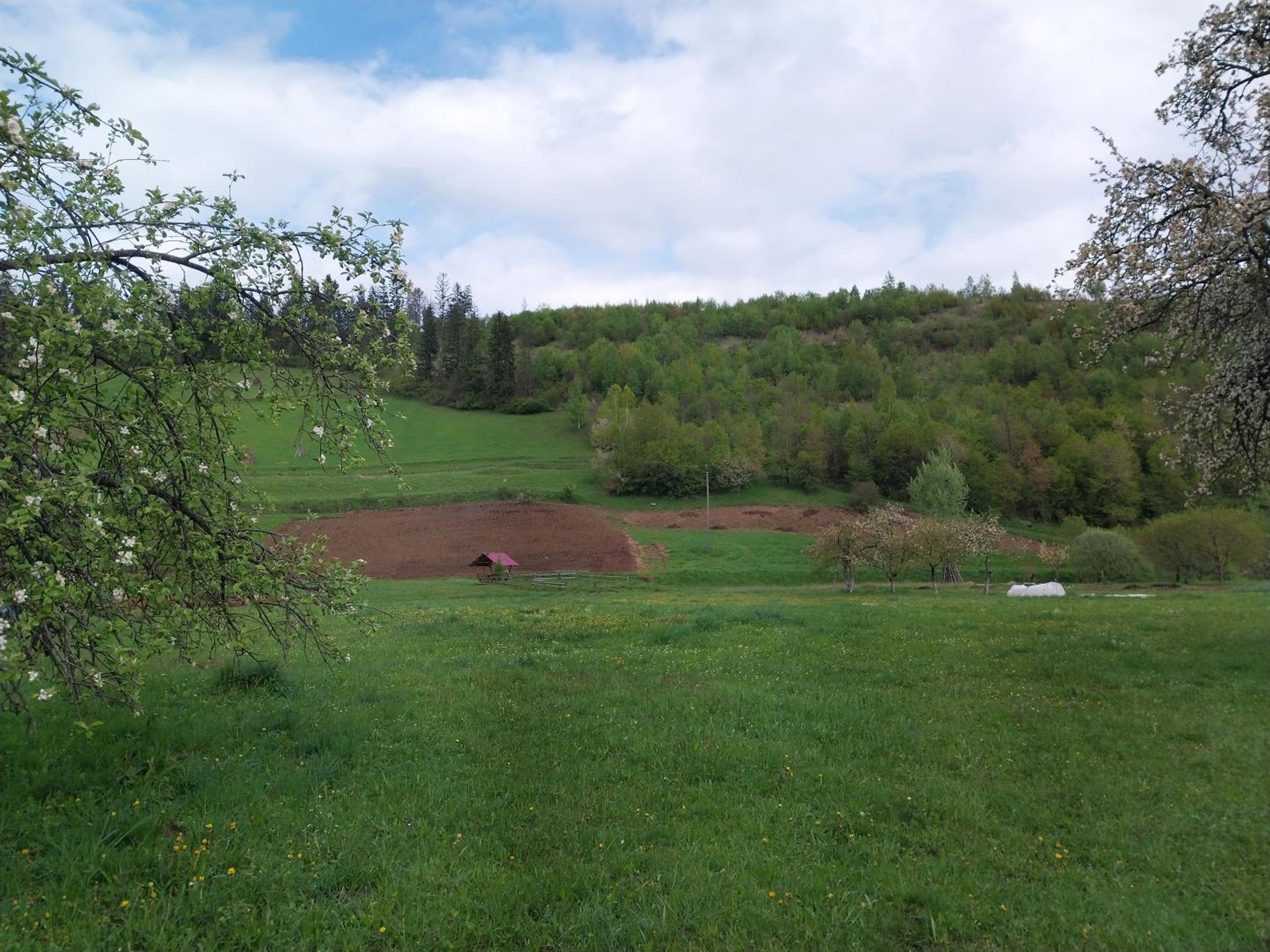 Затишна хата view 2