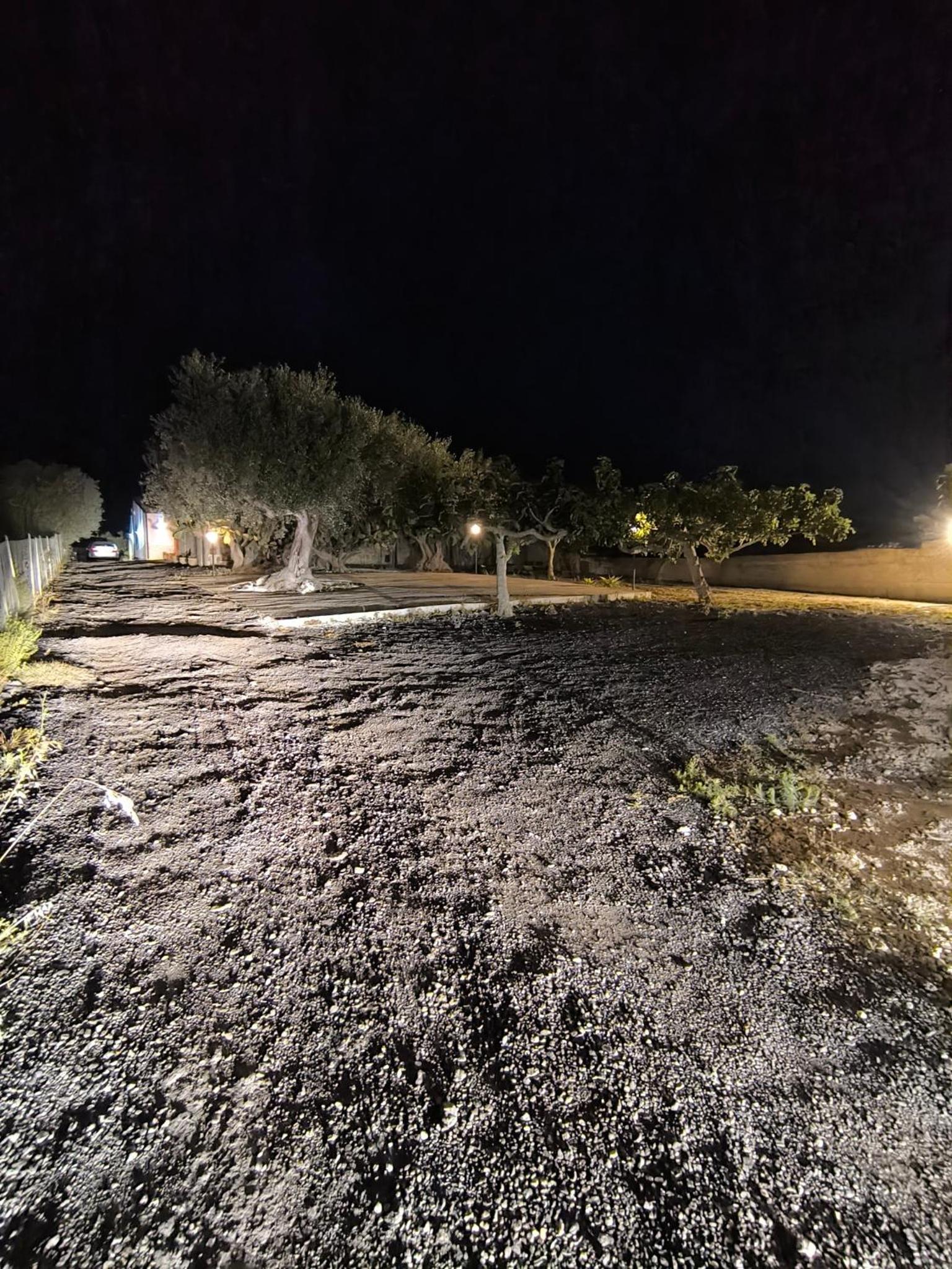 Photo 49