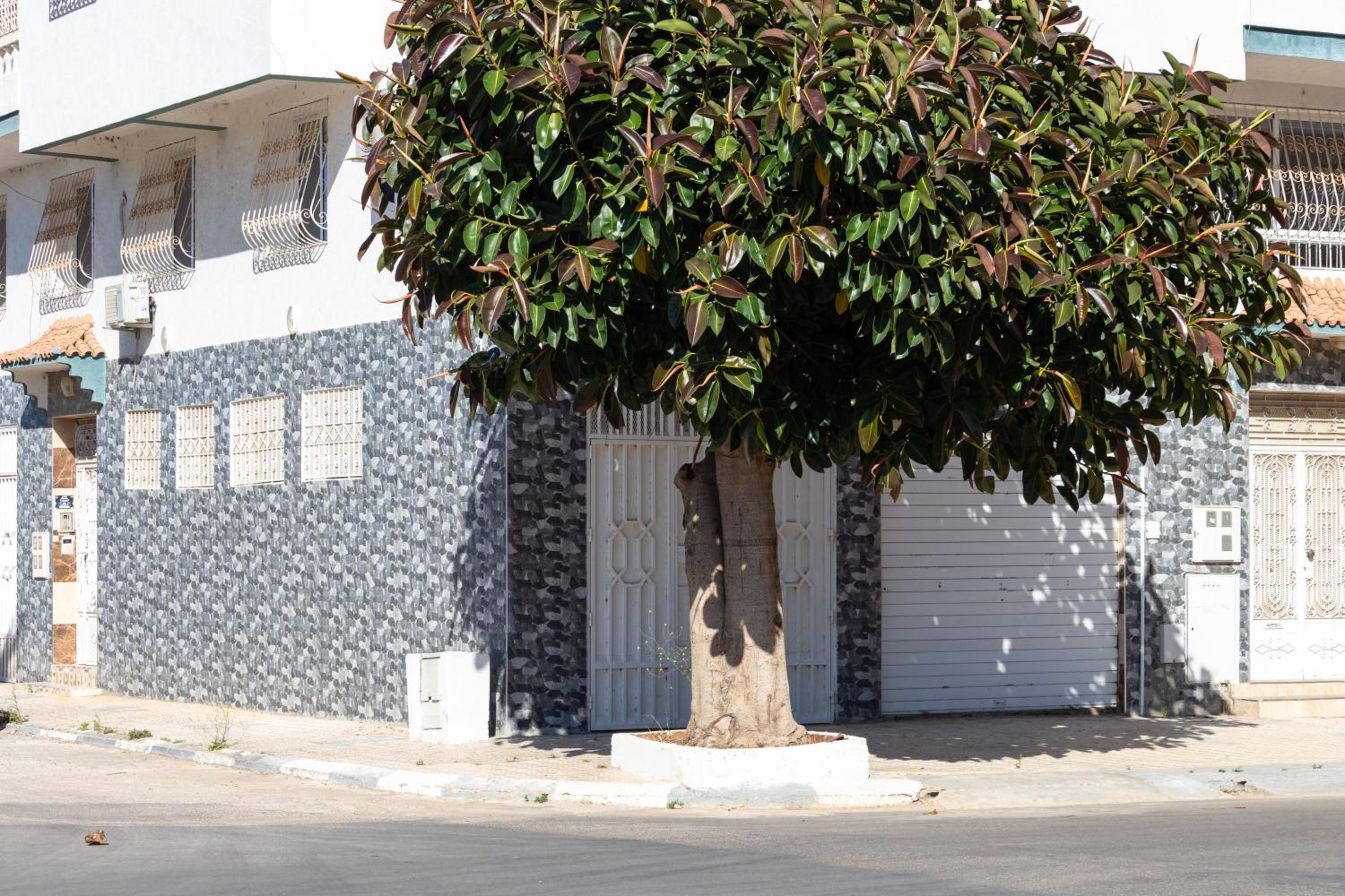 Appartements Calmes et Spacieux