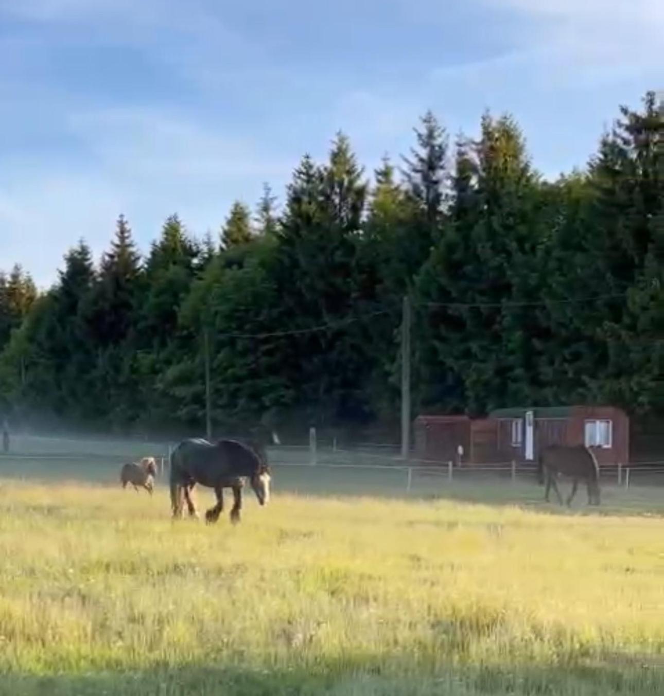 Horská maringotka na farmě