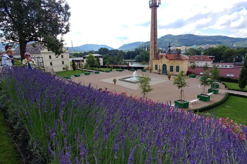 Flat near the castle