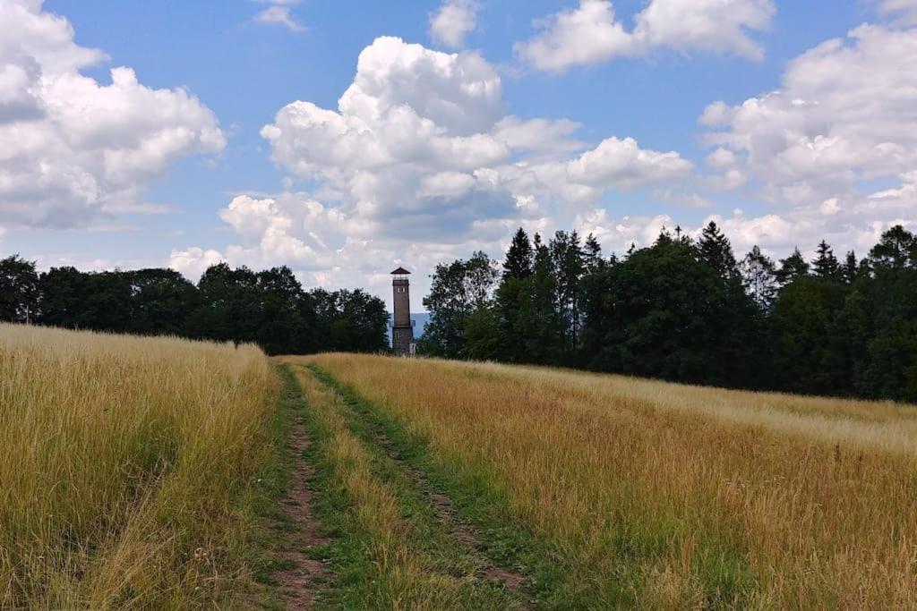 Flat near the castle