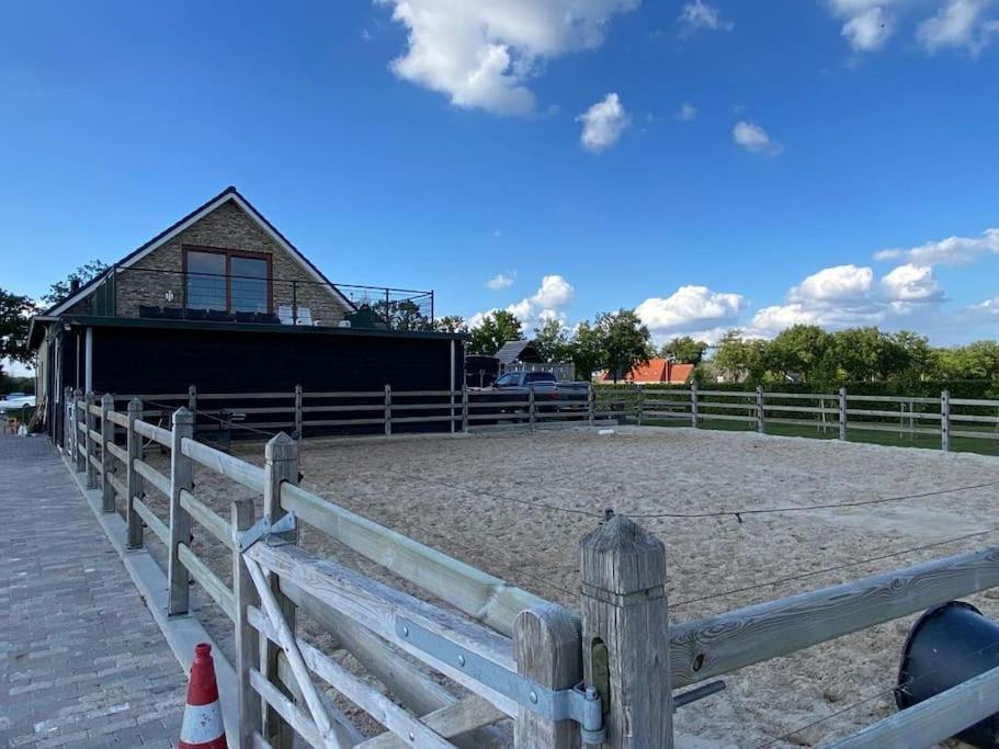 Logeren boven paarden