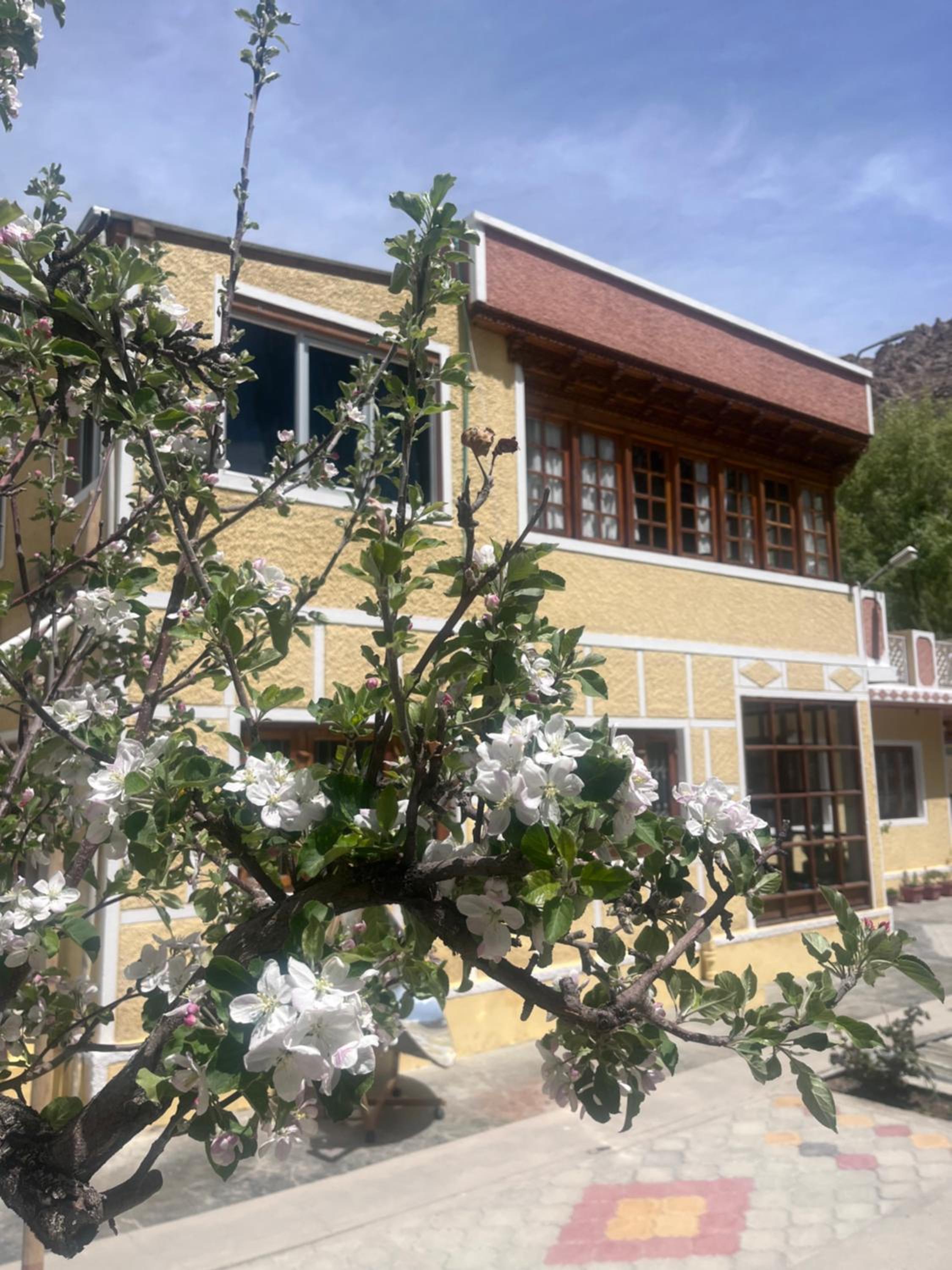 Photo 9