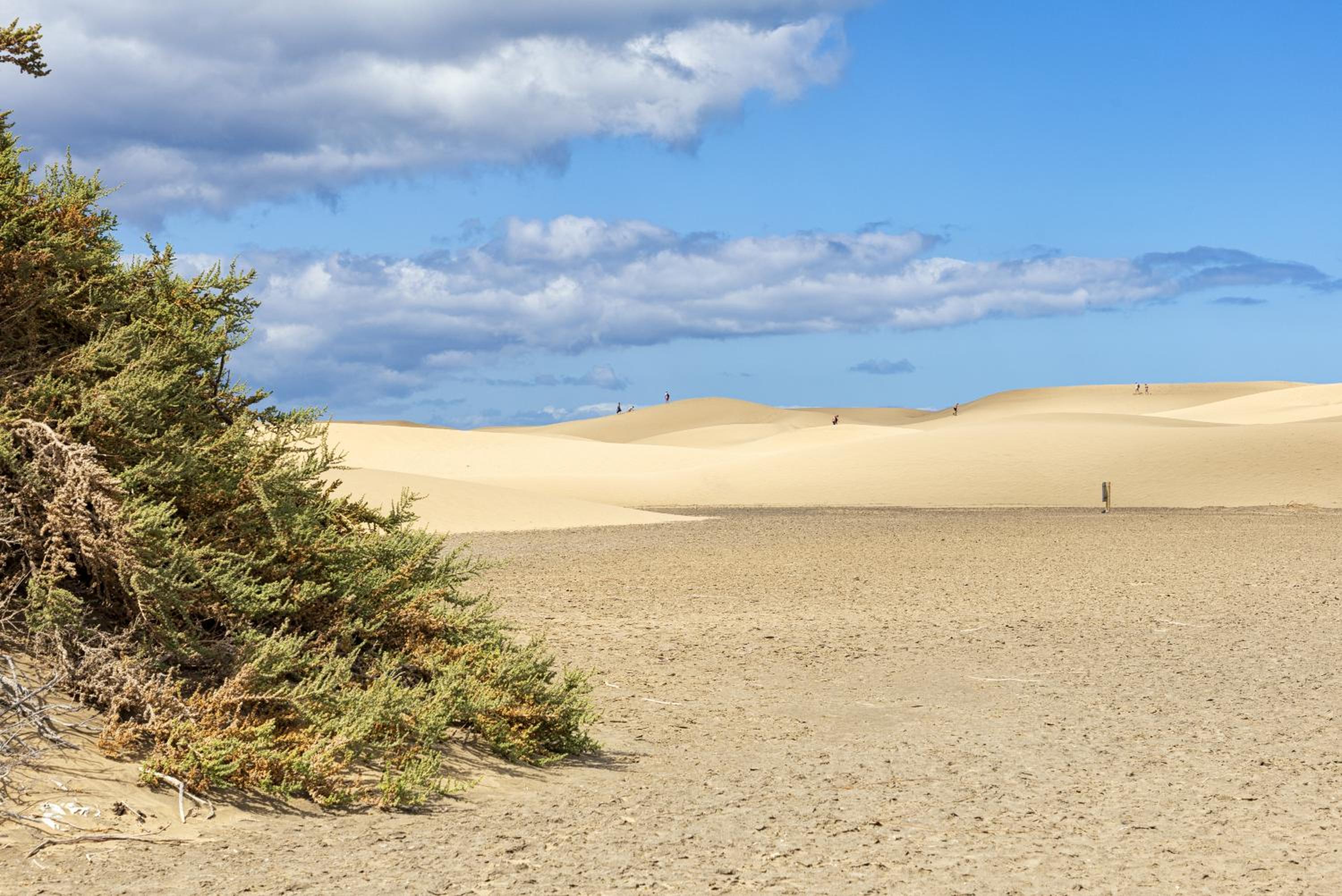 Smartr Maspalomas Corinto