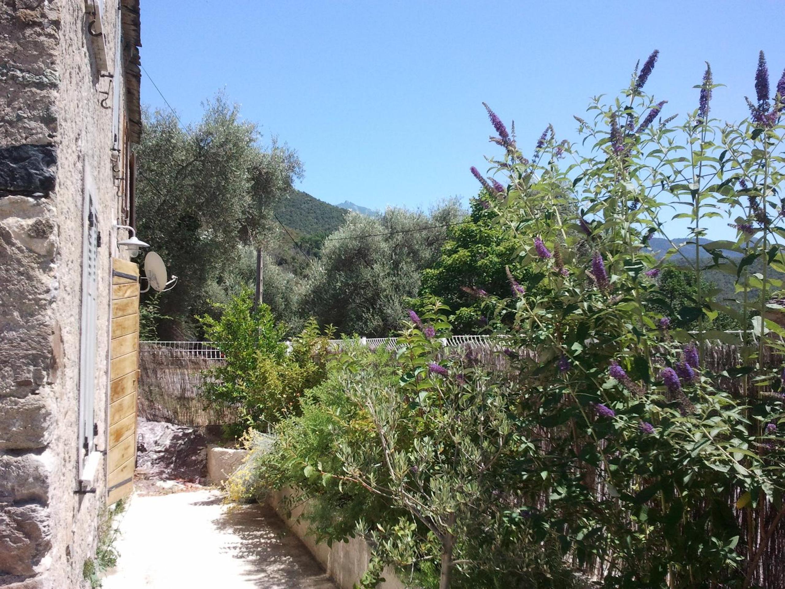 Photo 20