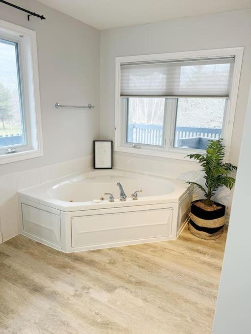 Sandbanks Cottage on Sheba's Island - 5 min drive, pet friendly