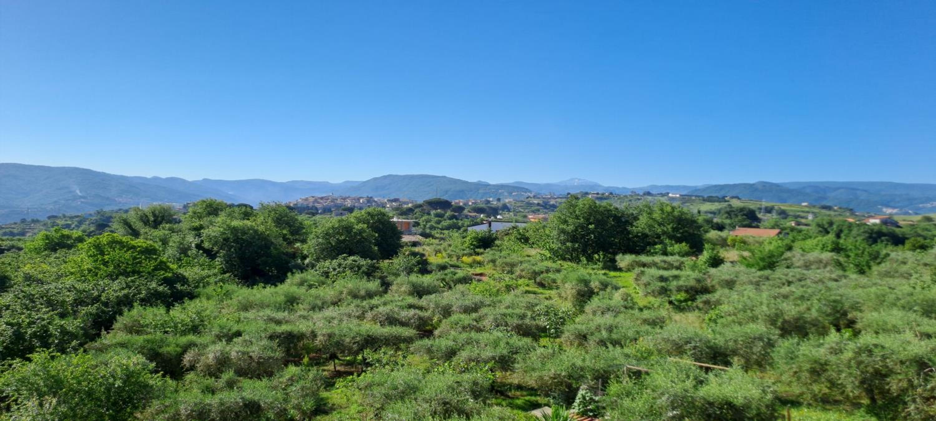 Tenuta Albachiara