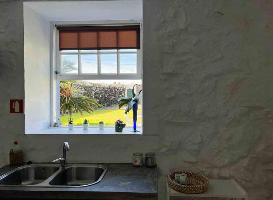 Casa do Cacto - Studio Flat view 3