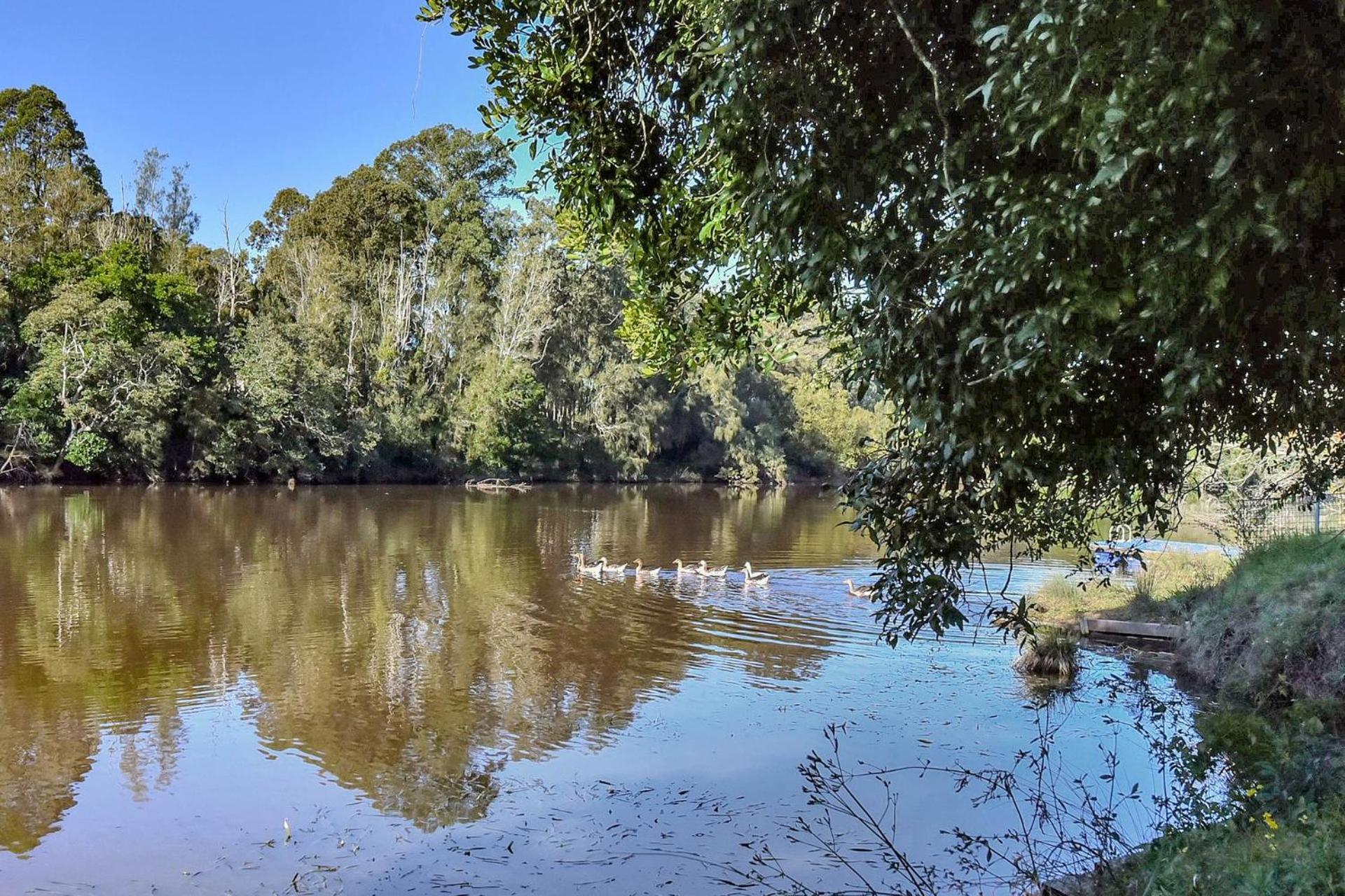 Overflow Downs-Riverside Acreage
