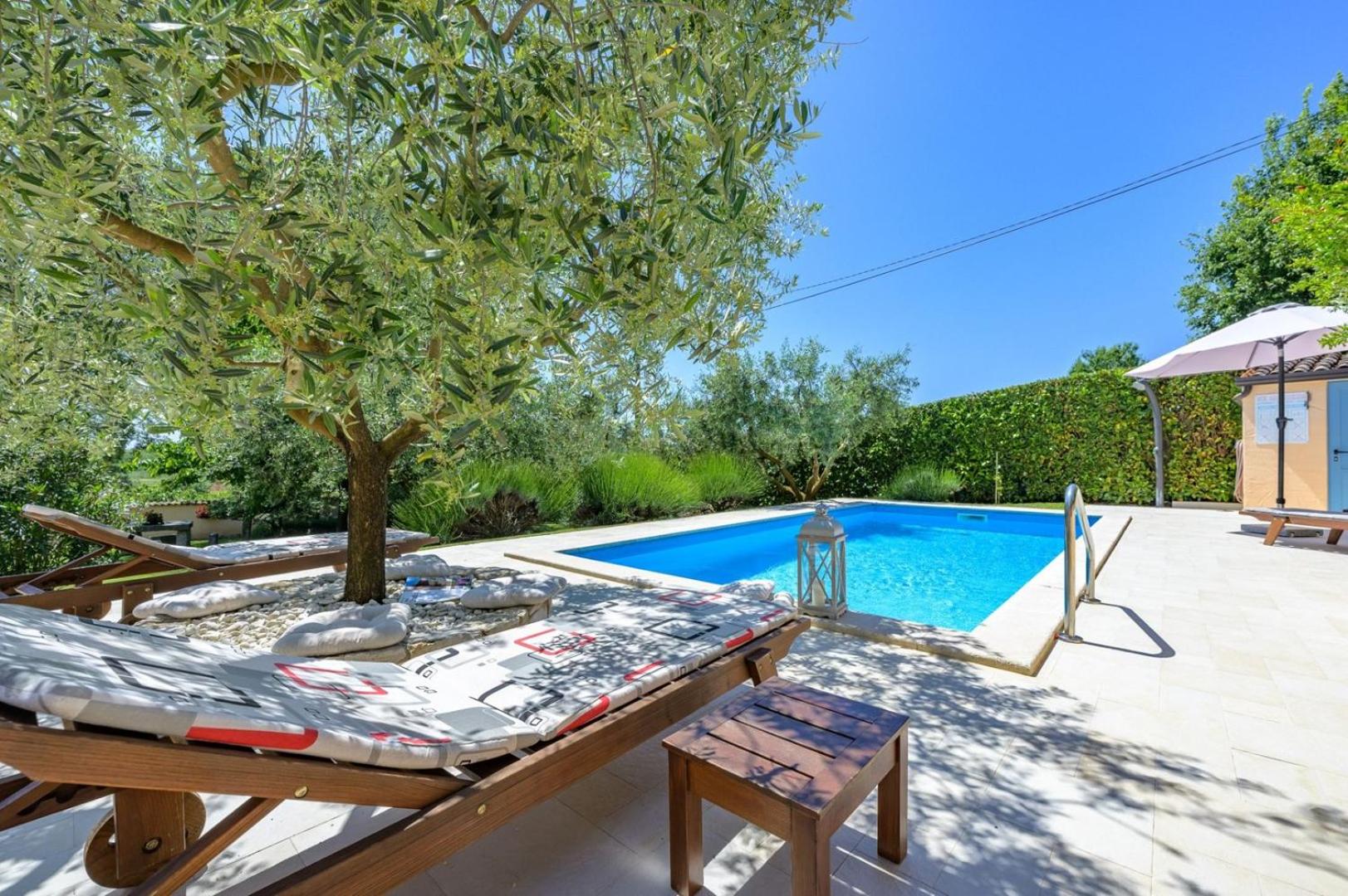 Villa Olga