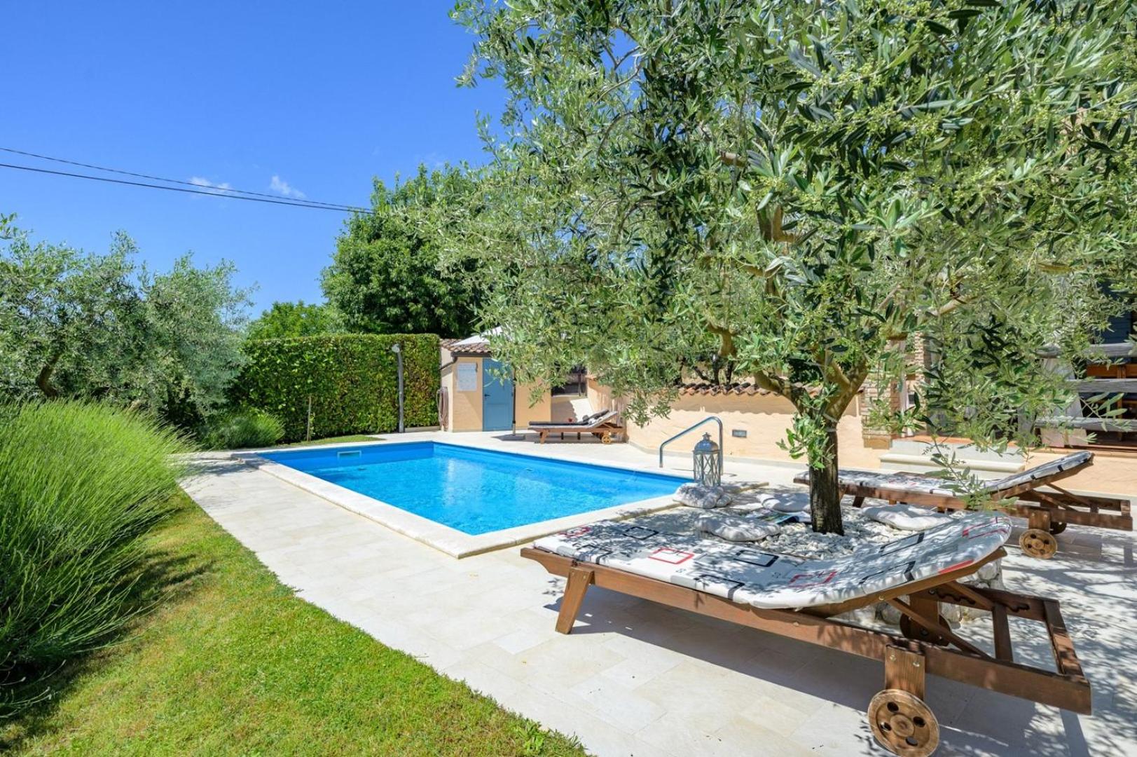 Villa Olga