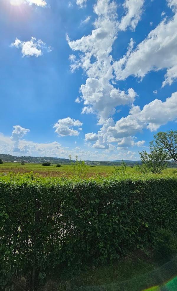 Guest House Green Field