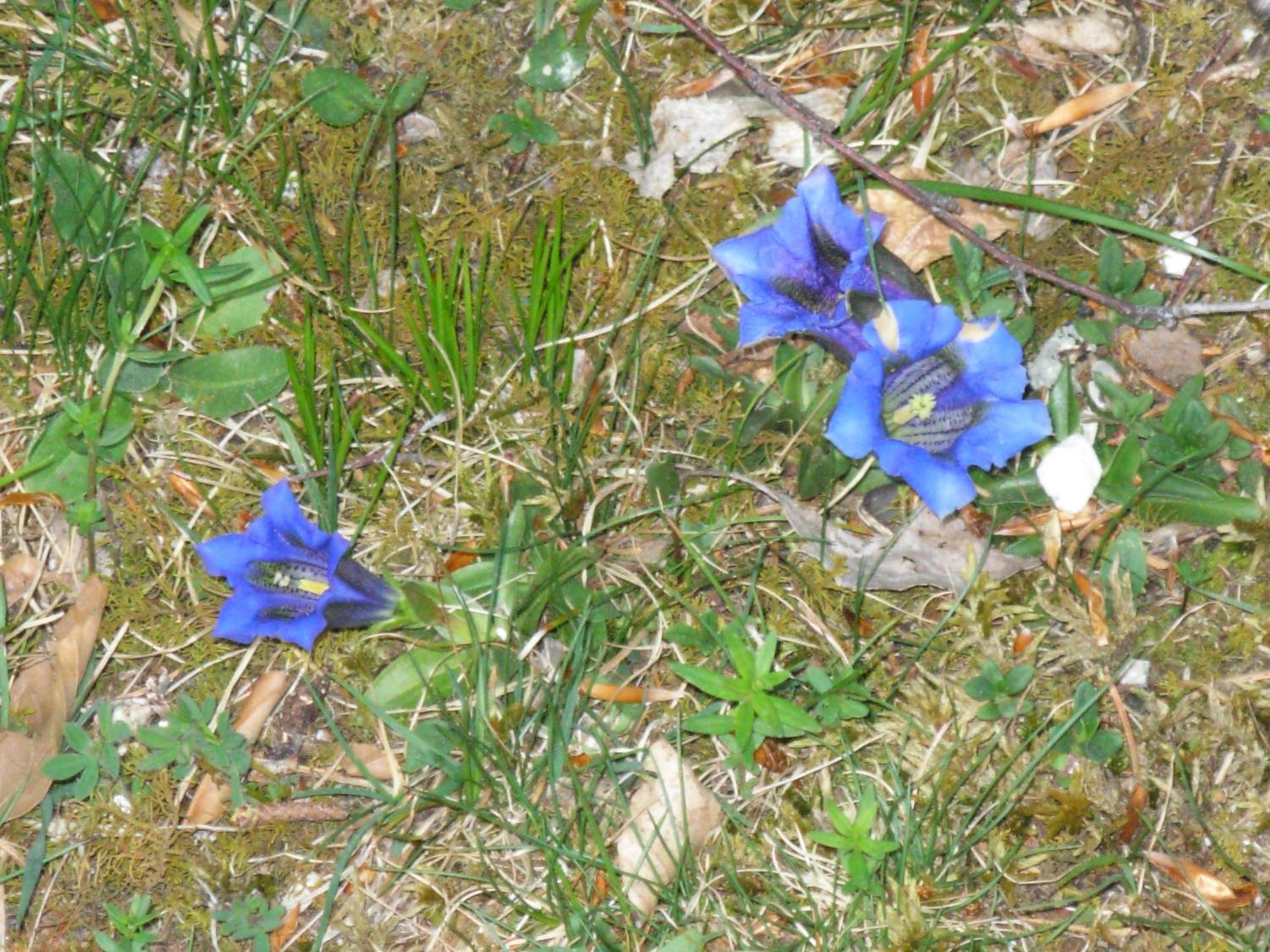Photo 20