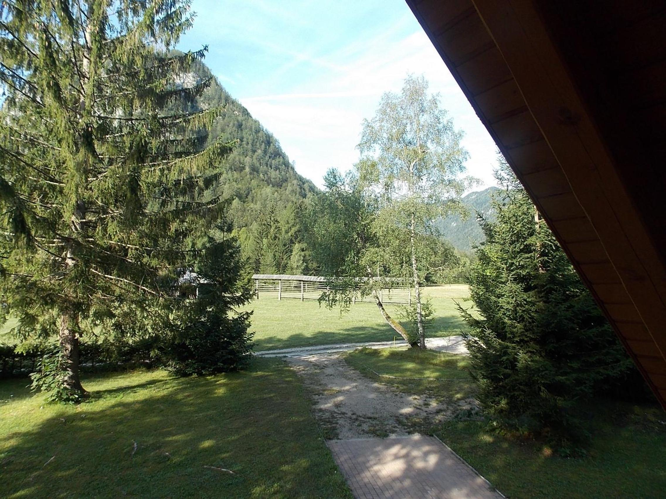 Photo 24